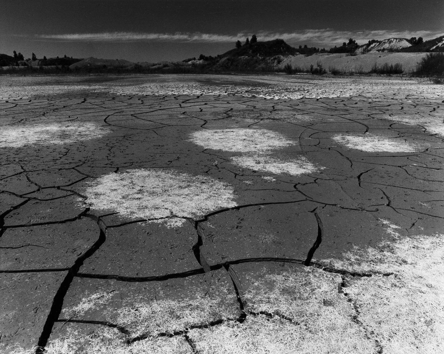 Gravel Pit Mudflat, Michigan; 1978
