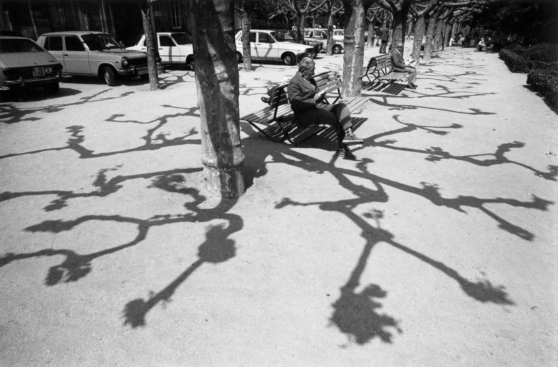 Tree Shadows, Barcelona, Spain; 1979
