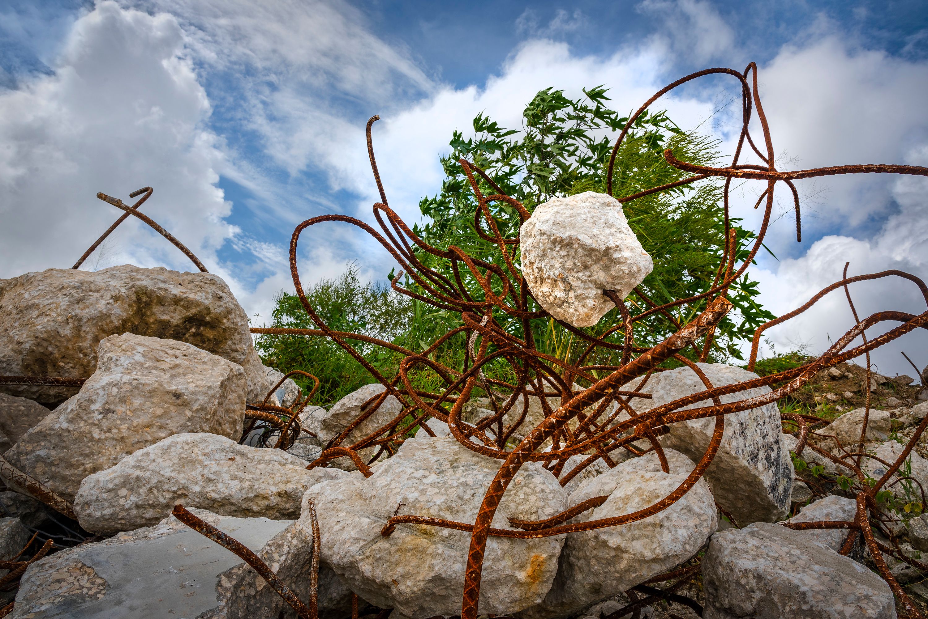 Concrete Sculpture.Winter Park.2018.jpg