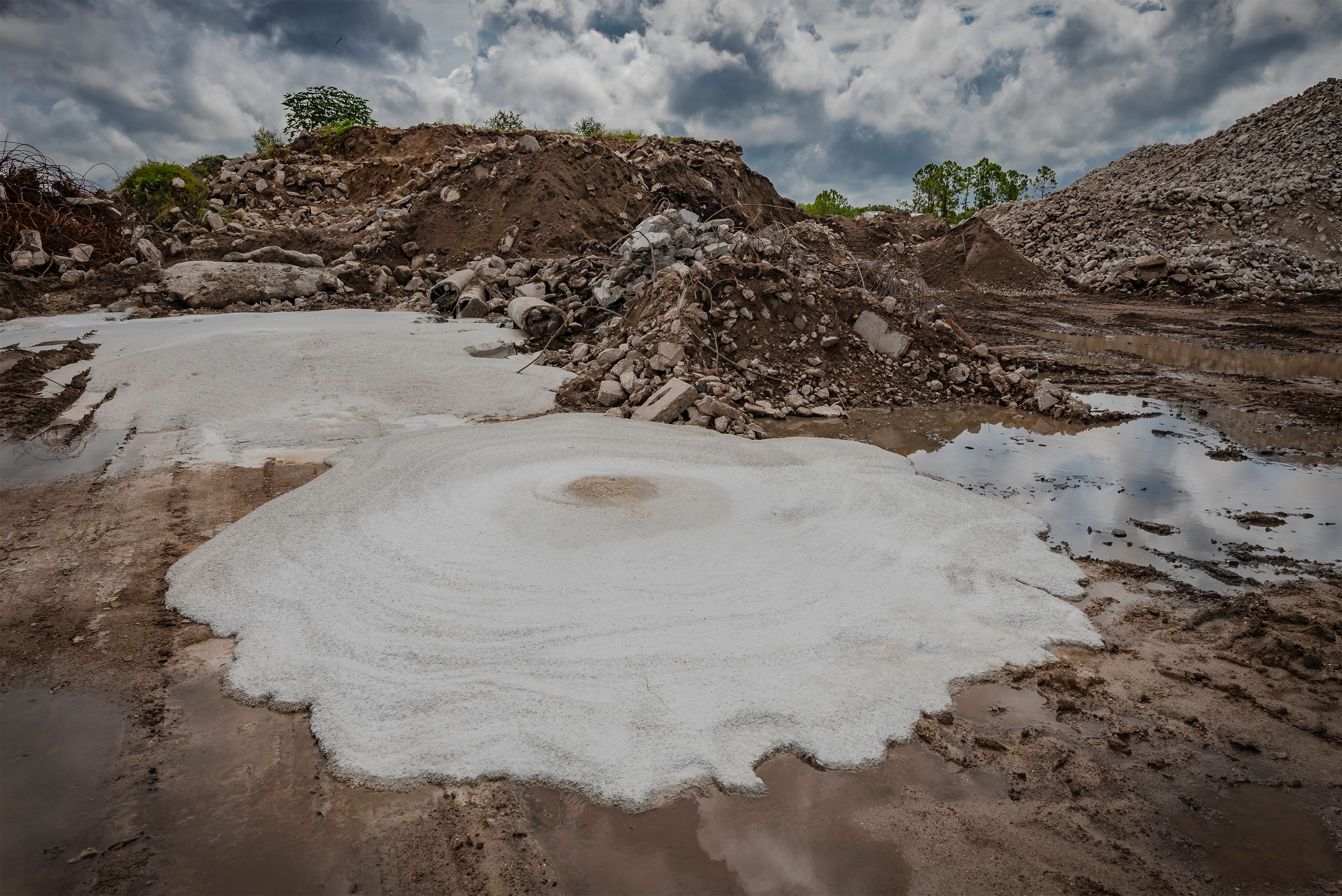 Concrete Ameoba.Winter Park.2018.jpg