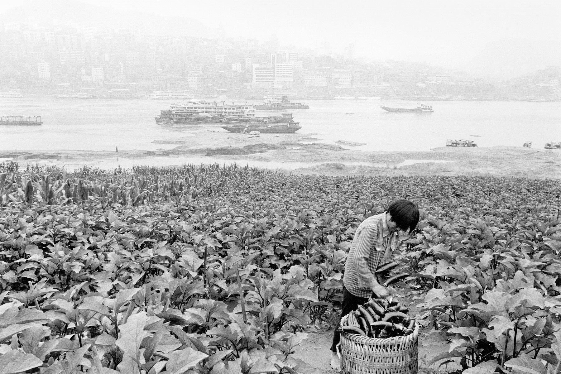 Farmer, Wanxian, China 1999