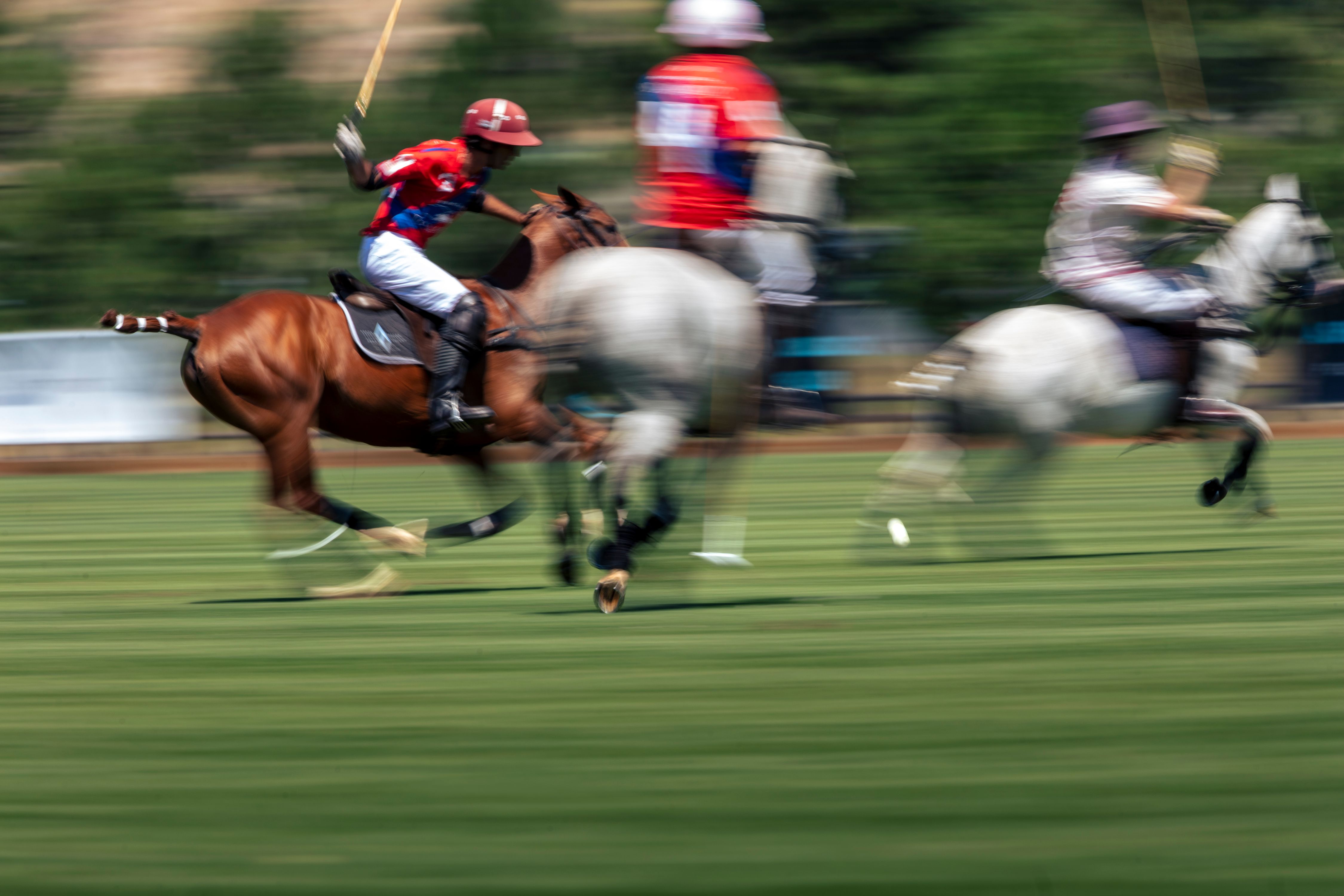 WF_f_11751polo.jpg