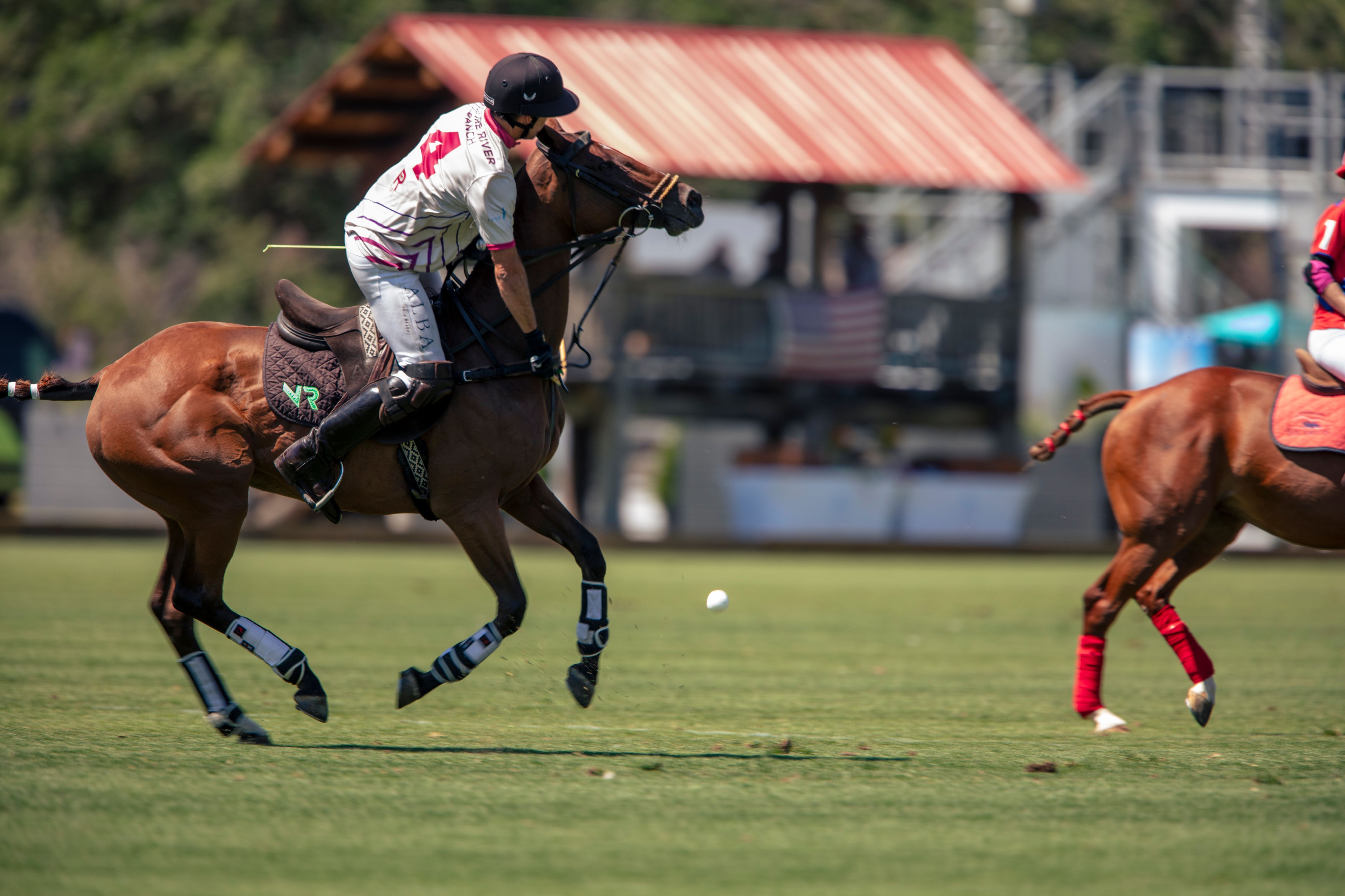 WF_f_11712polo.jpg