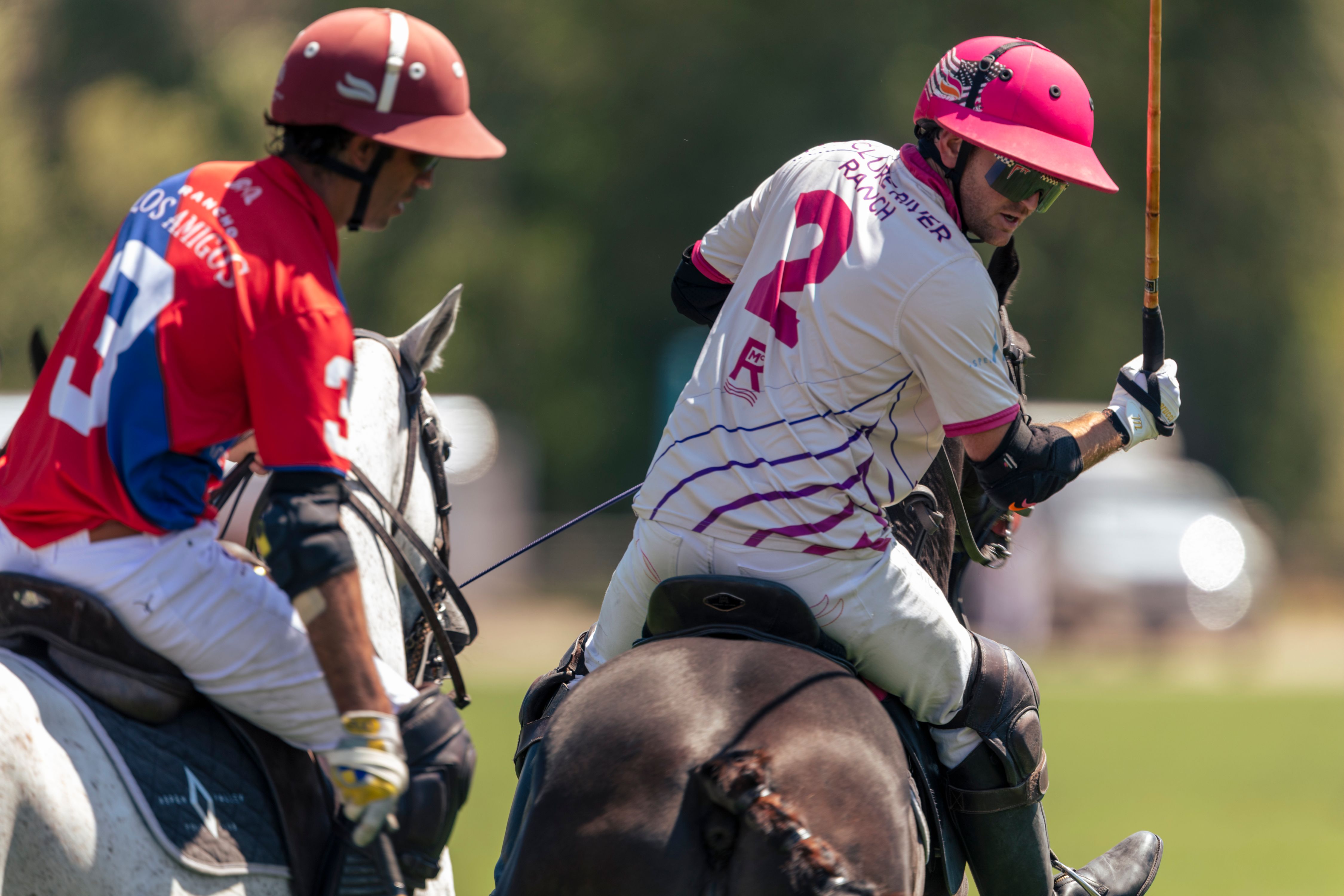 WF_f_11808polo.jpg