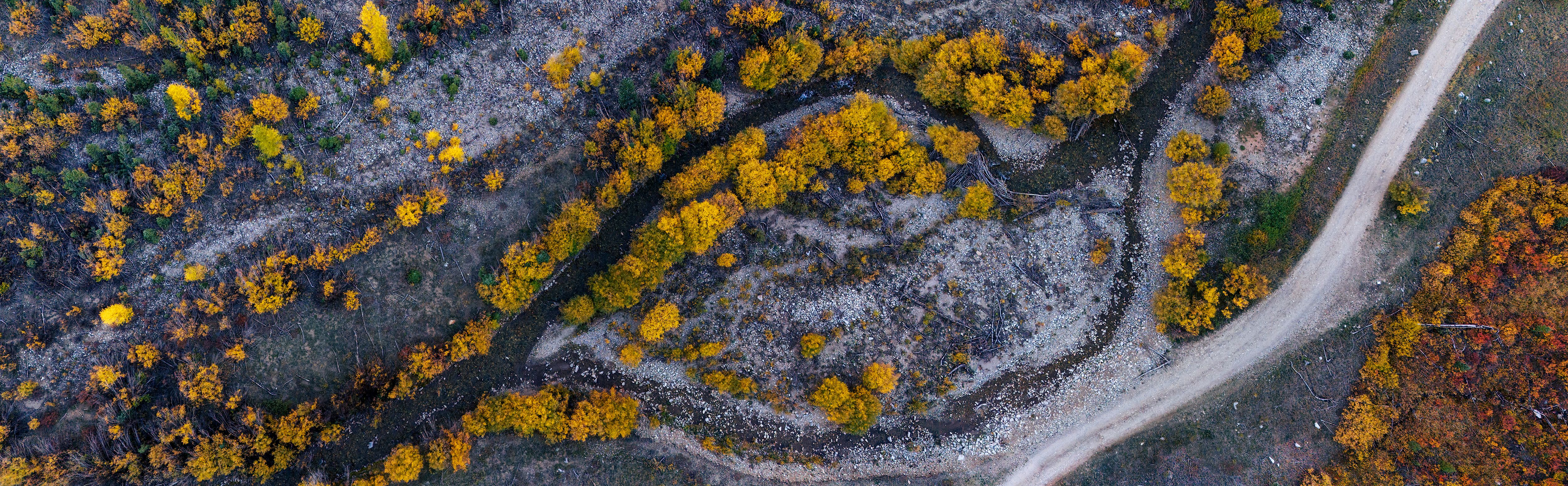 Natural Lines
