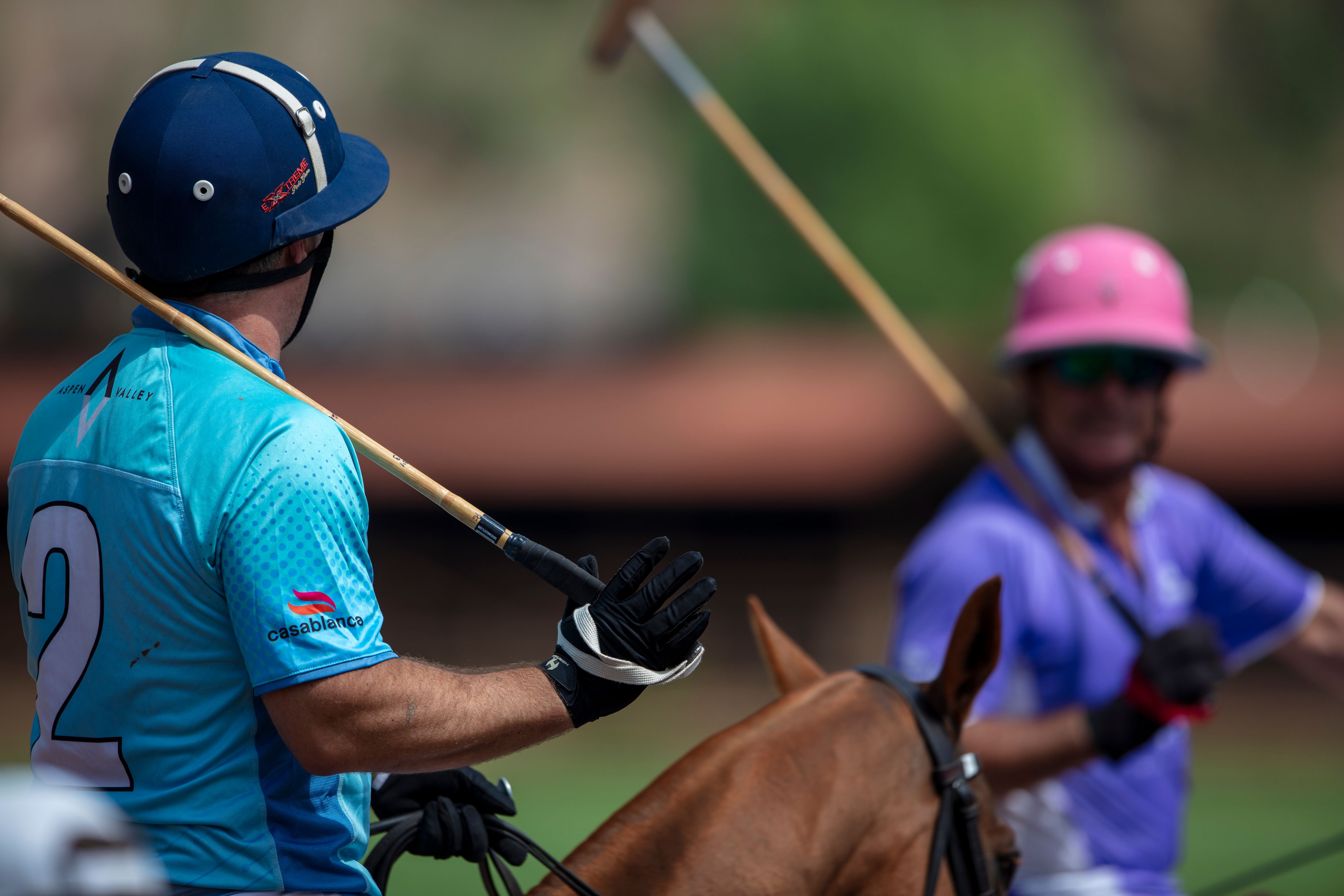 WF_f_11465polo.jpg