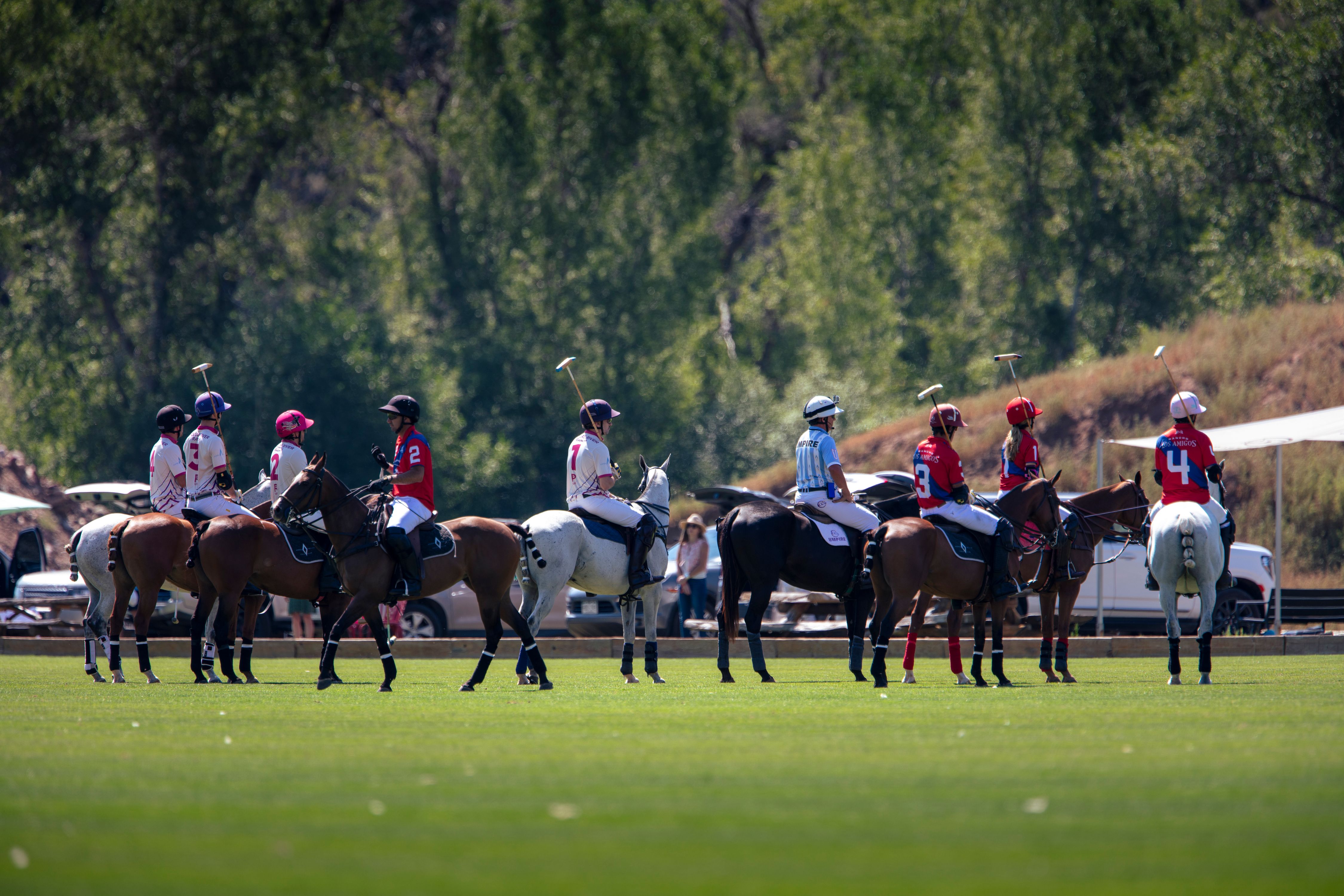 WF_f_11643polo.jpg
