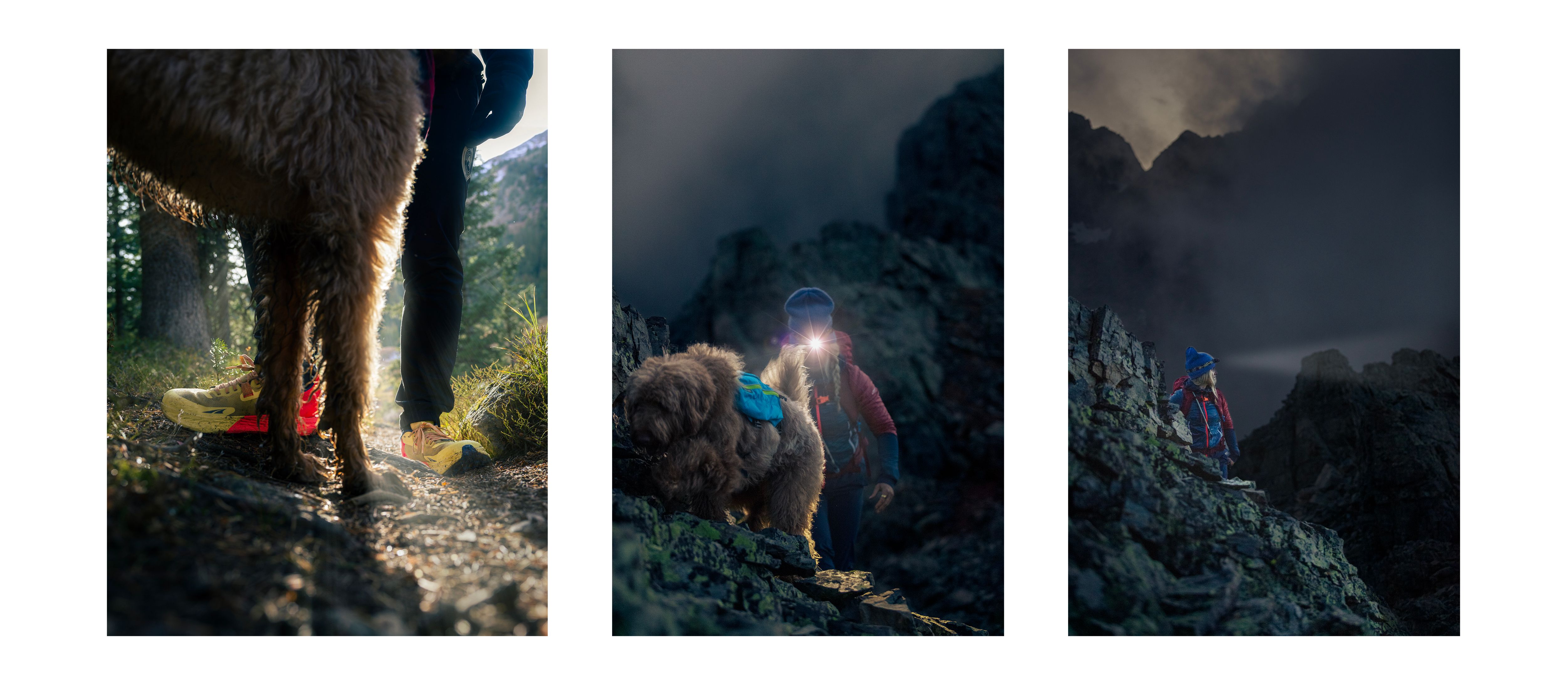 Colorado time in the Alpine. All season fun for everyone