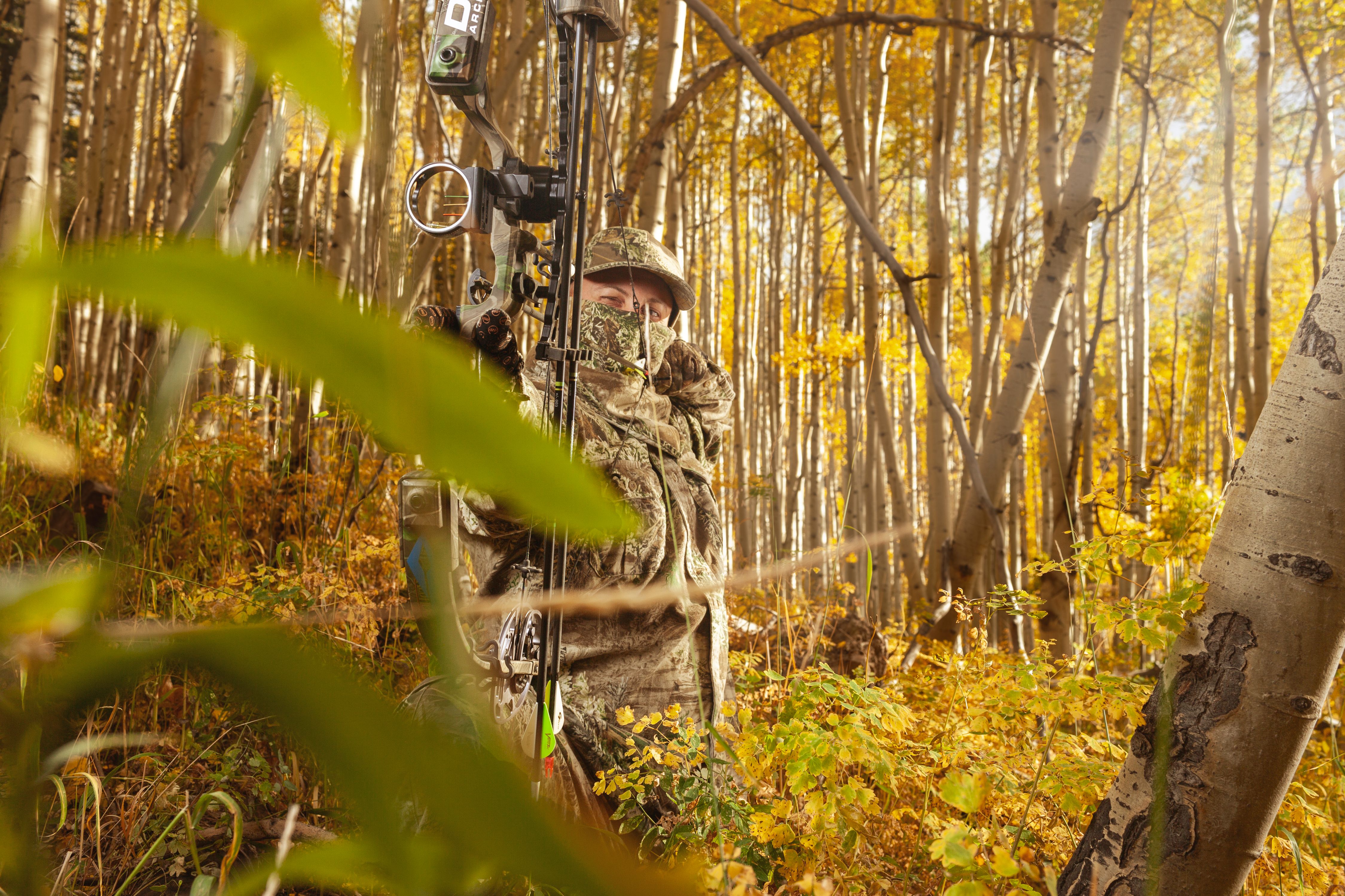 Hunting- Lifestyle. Aspen Mountain