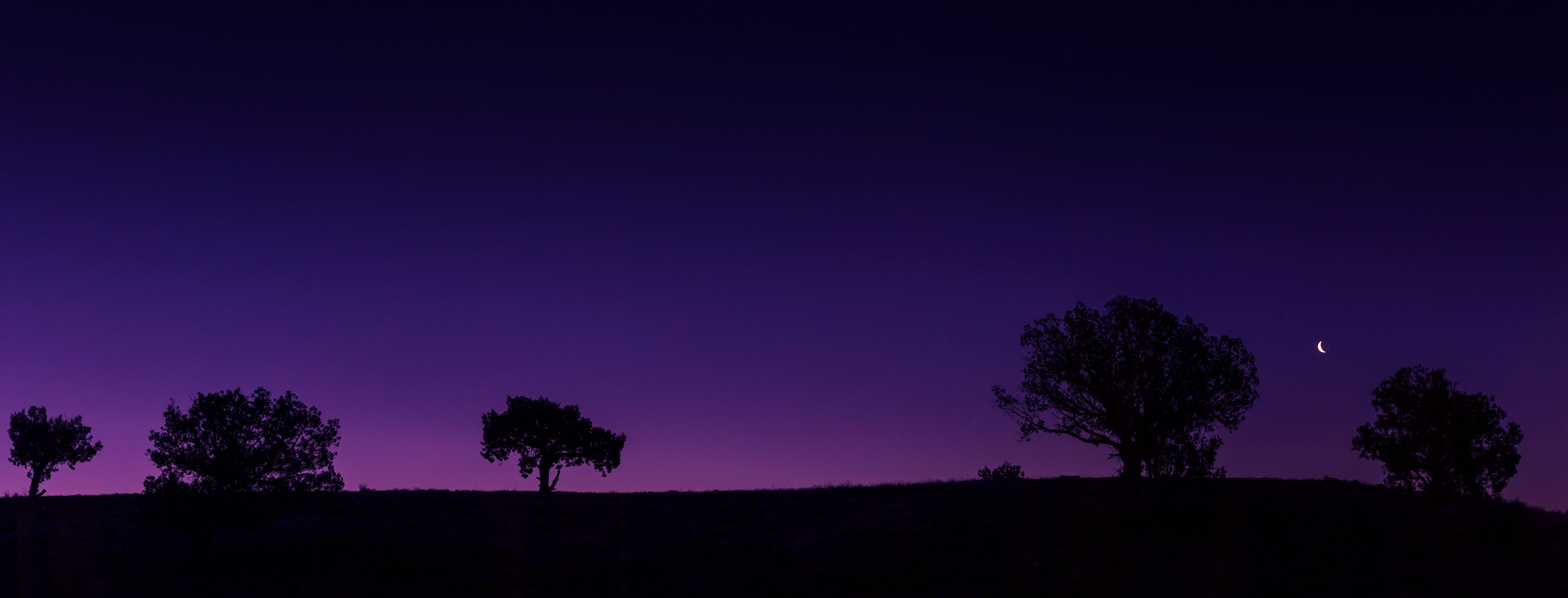 First Light