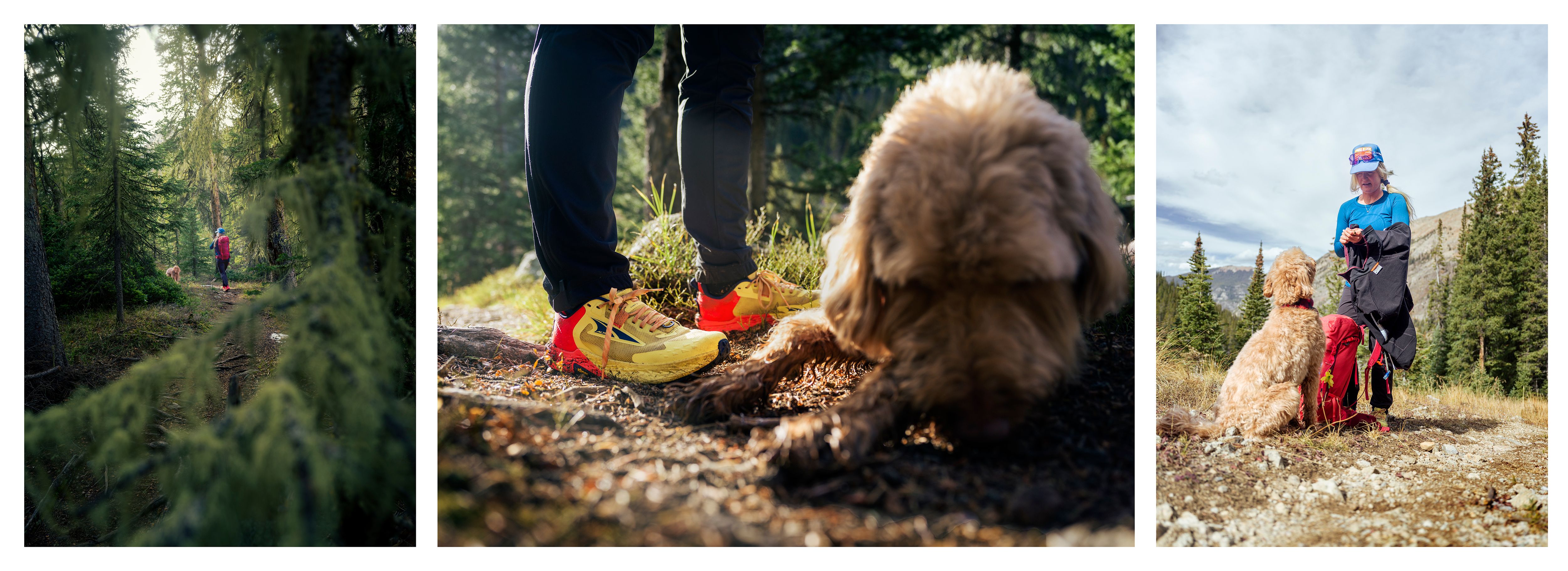 New York Creek- Altra Hiking Lifestyle