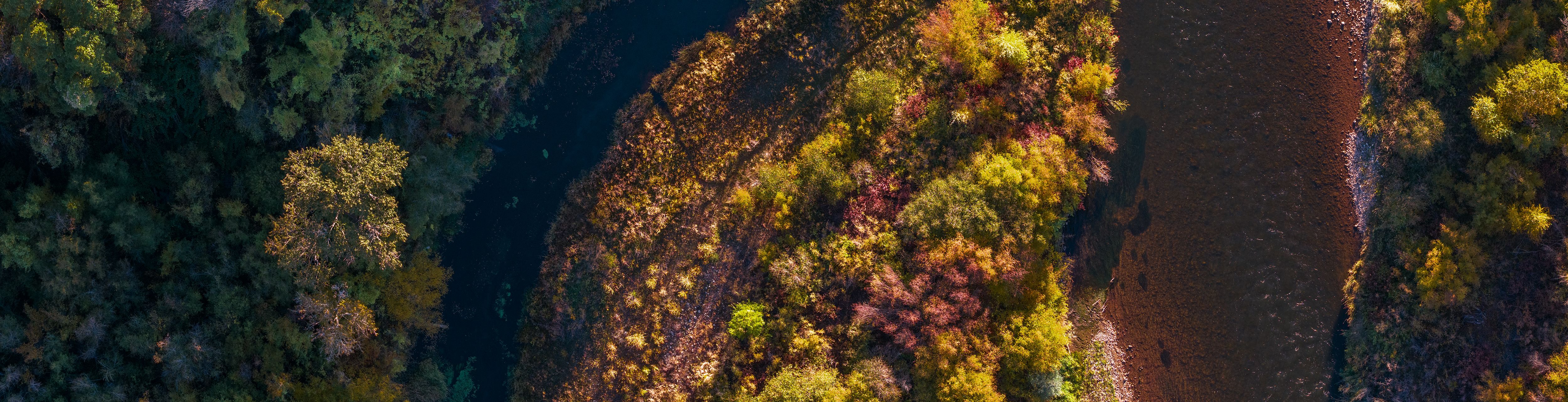 River Confluence