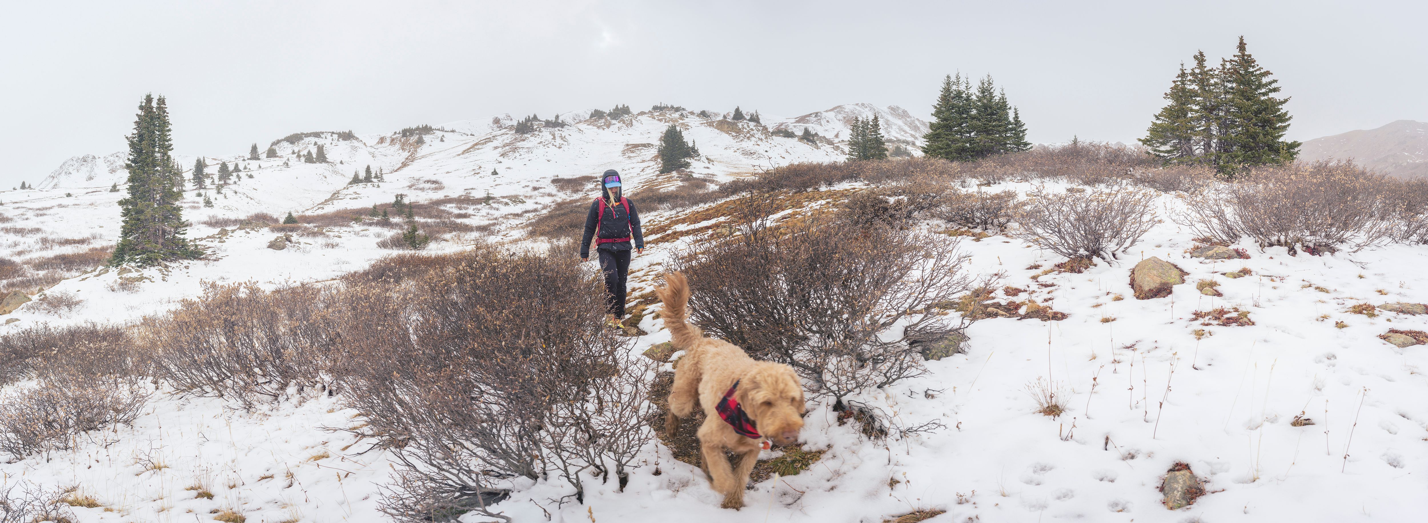 New York Creek- Colorado, a fall hike in Aspen