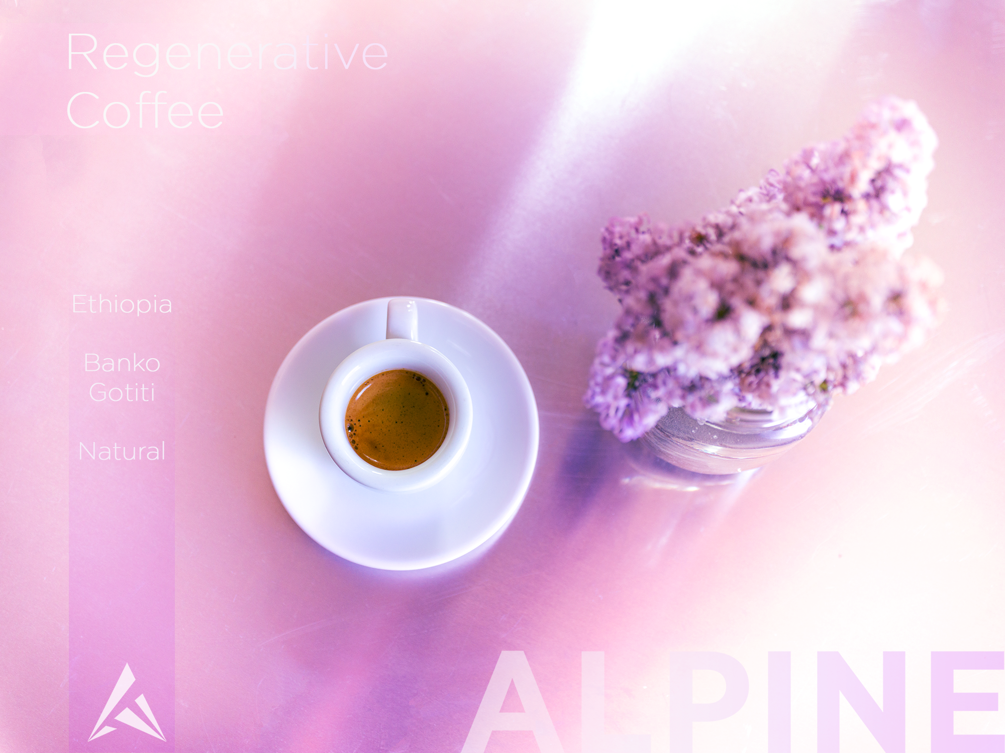 Alpine Roasters- June ads for Ethiopia