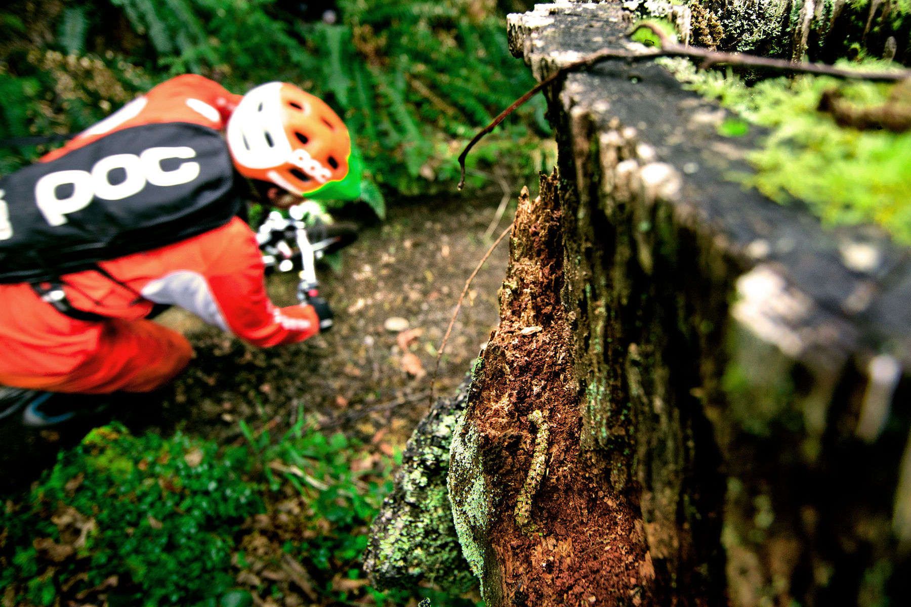 Michael dusting things off after a snowy night in Idaho.