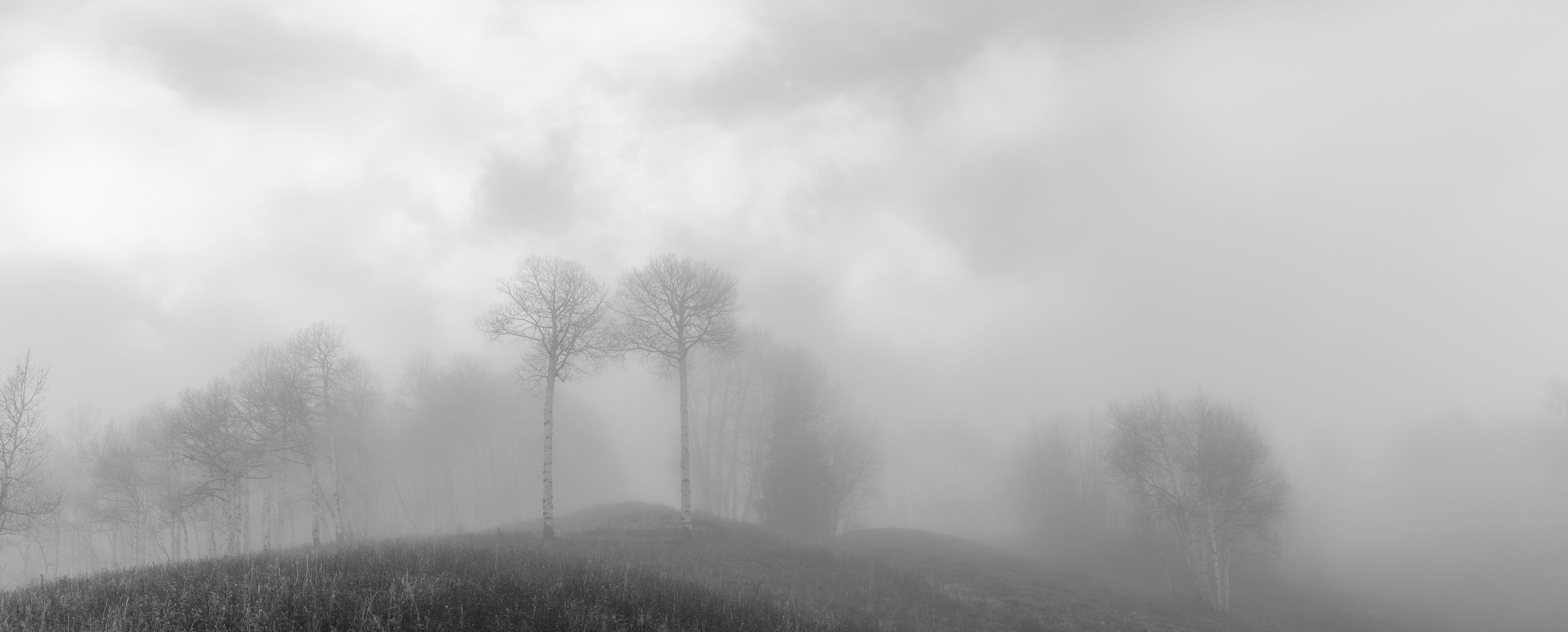 Aspen Mountain- Black and White