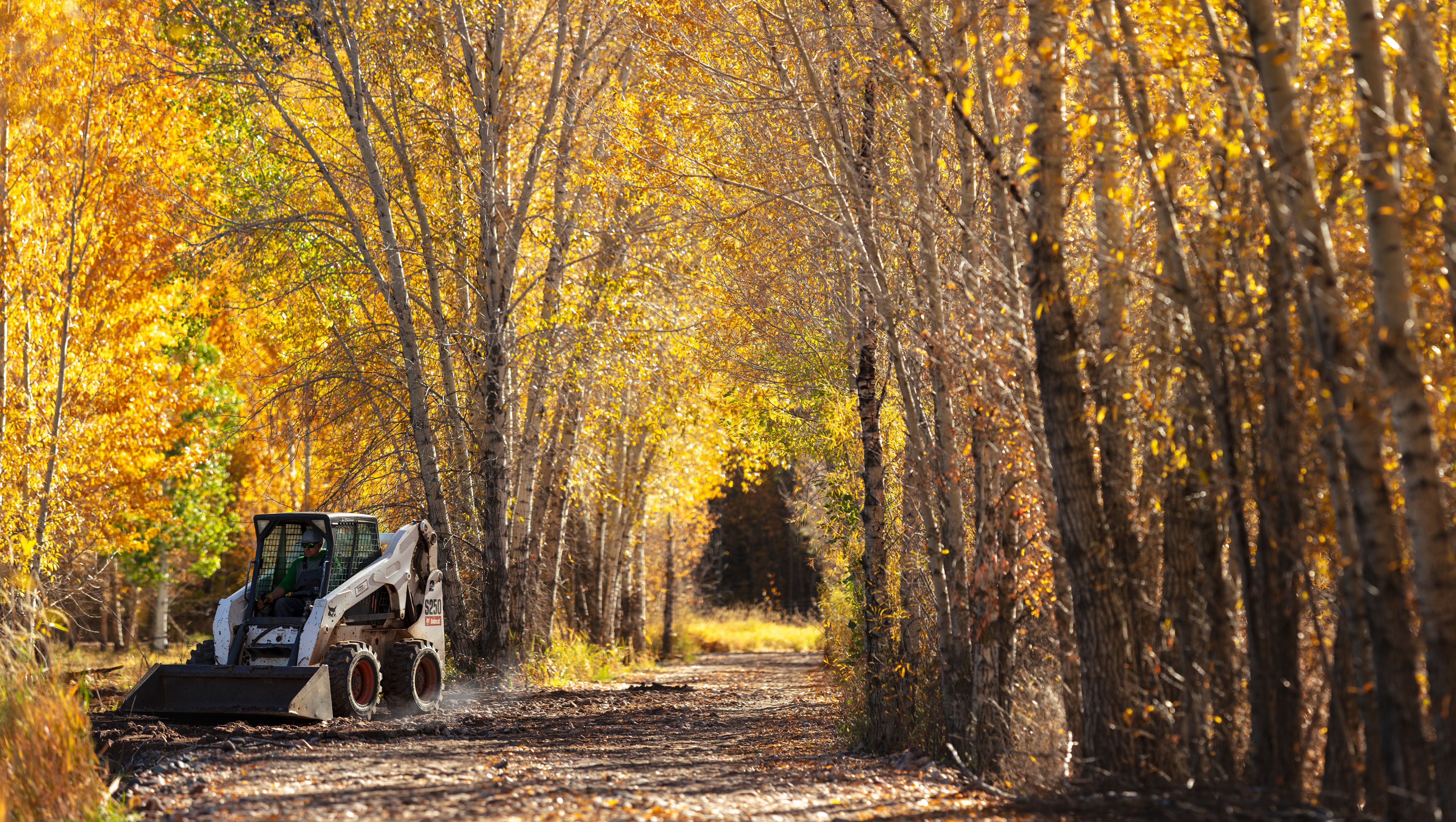 Bobcat SkidSteer