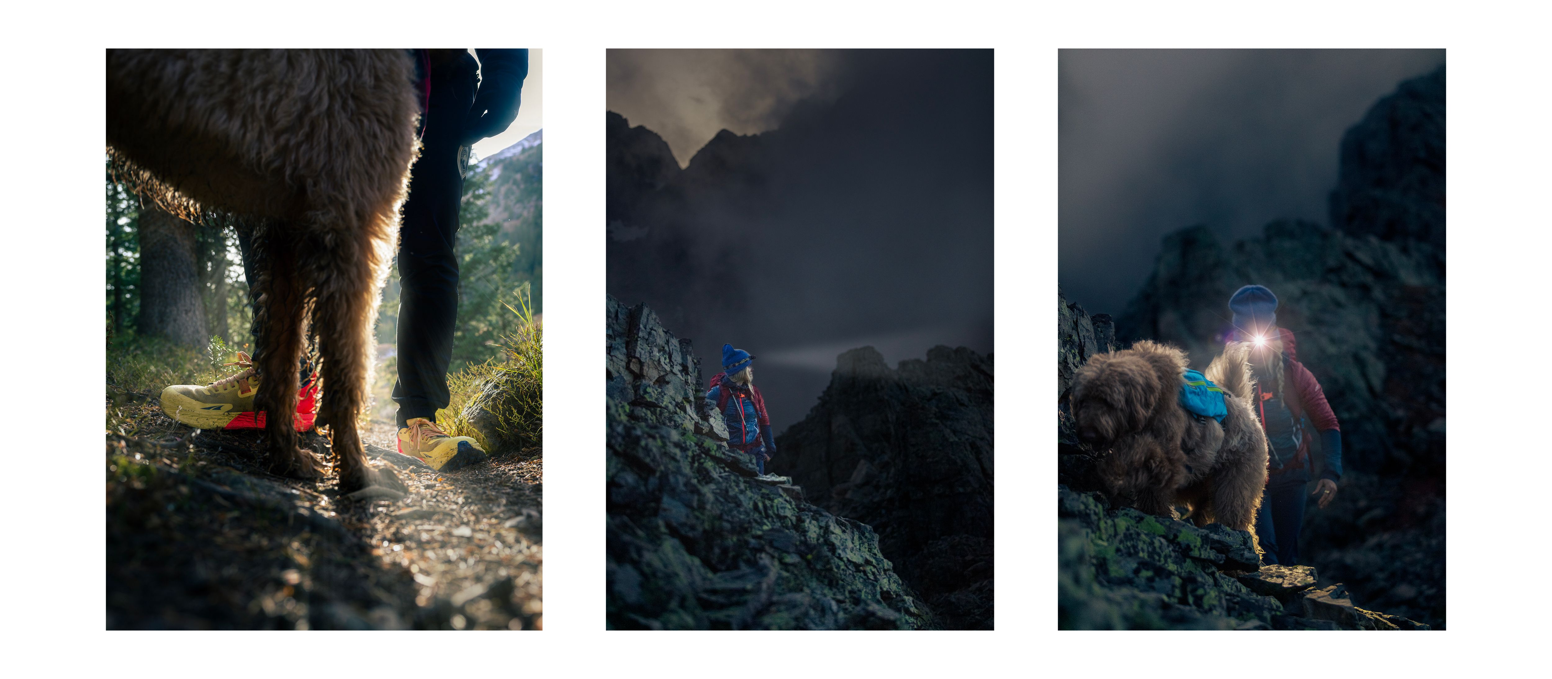 Late hiking in the Alpine. High up in Colorado's high country above Aspen