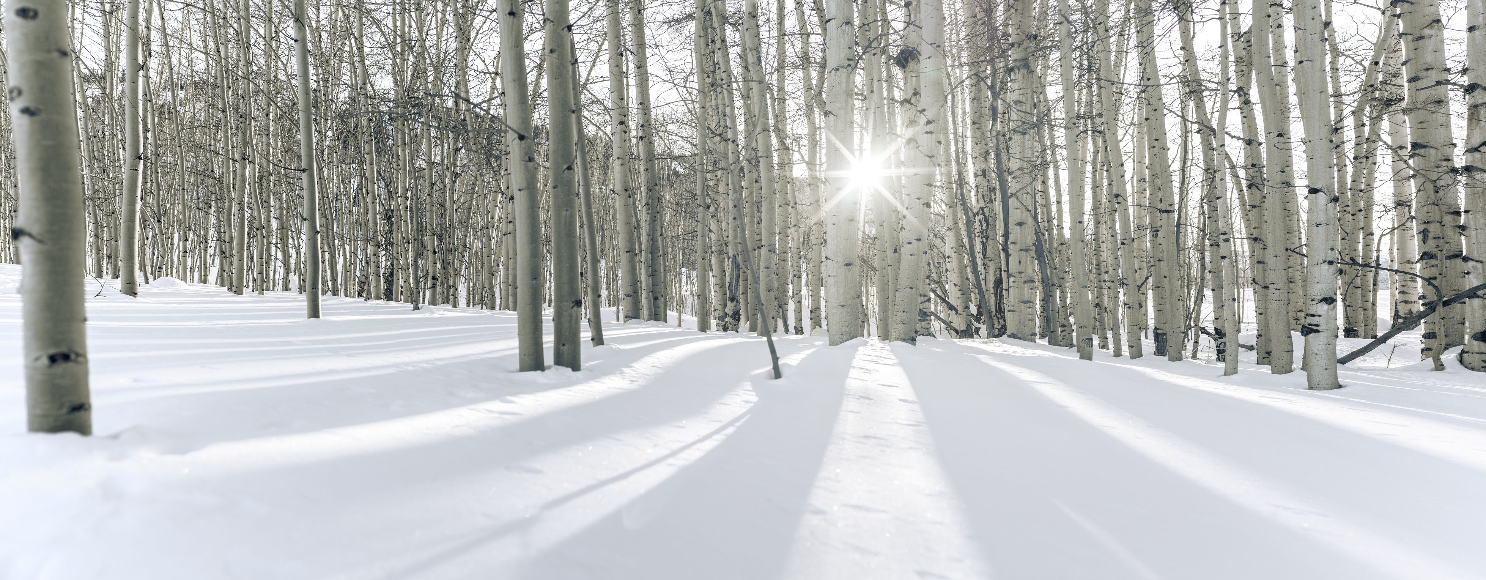 Winter Light