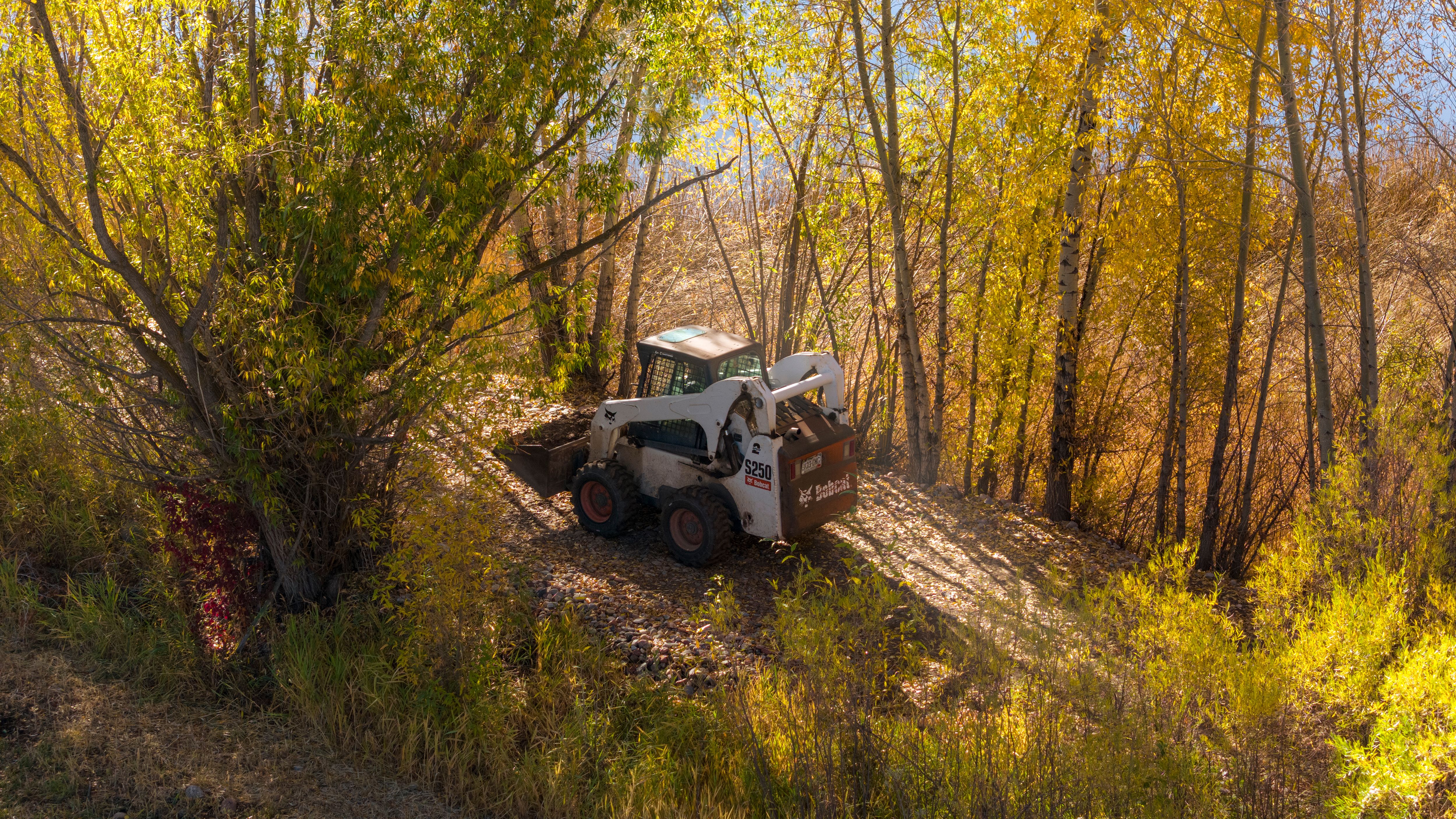 Bobcat Skid Steer