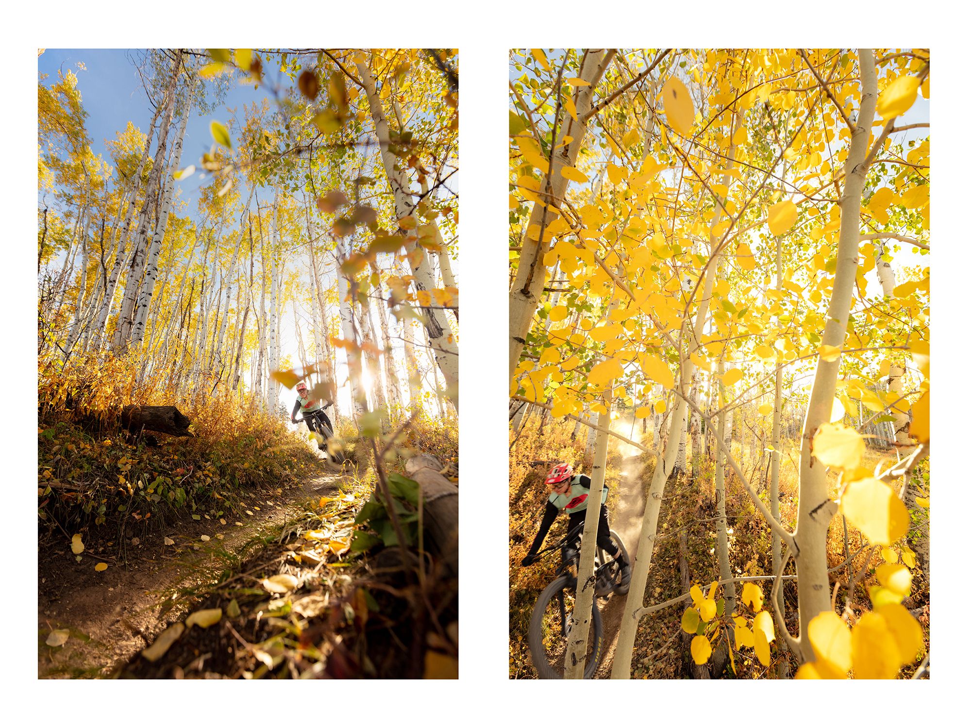 Fall Mtb- Aspen CO