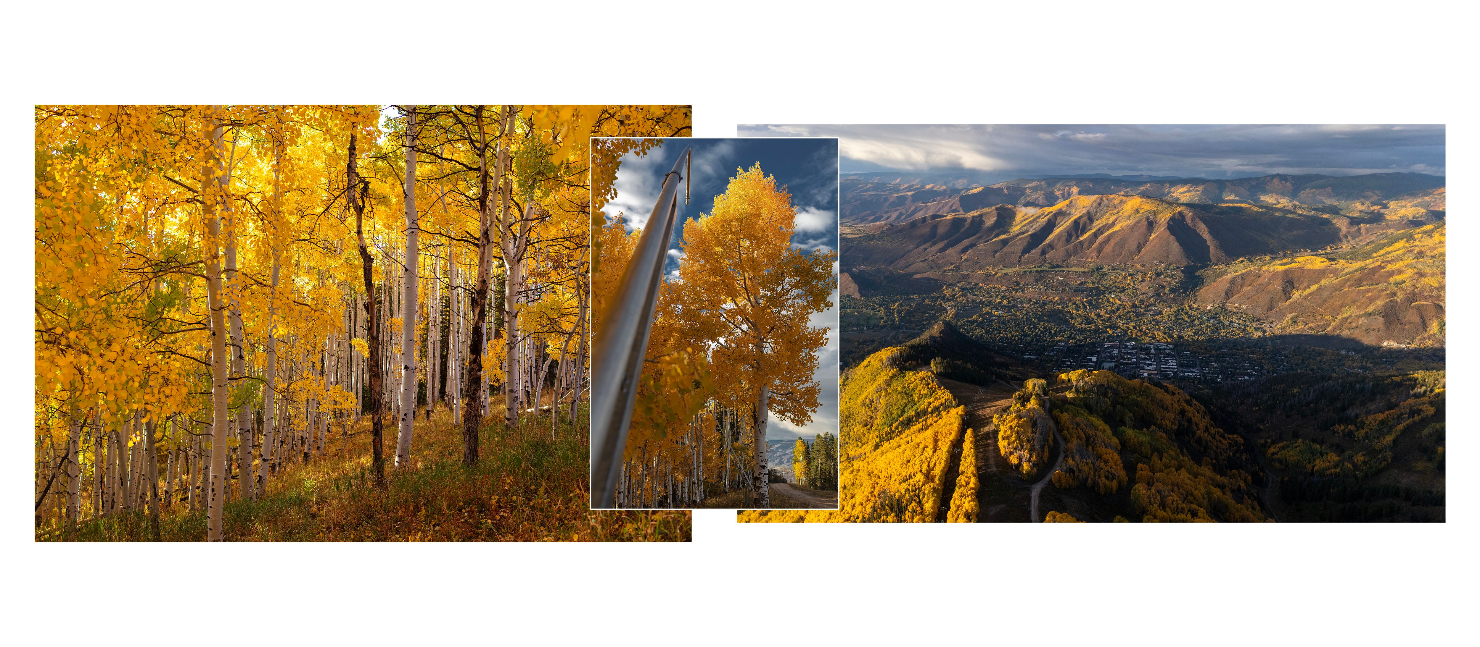 Fall Colours 2025_5k_v2.jpg