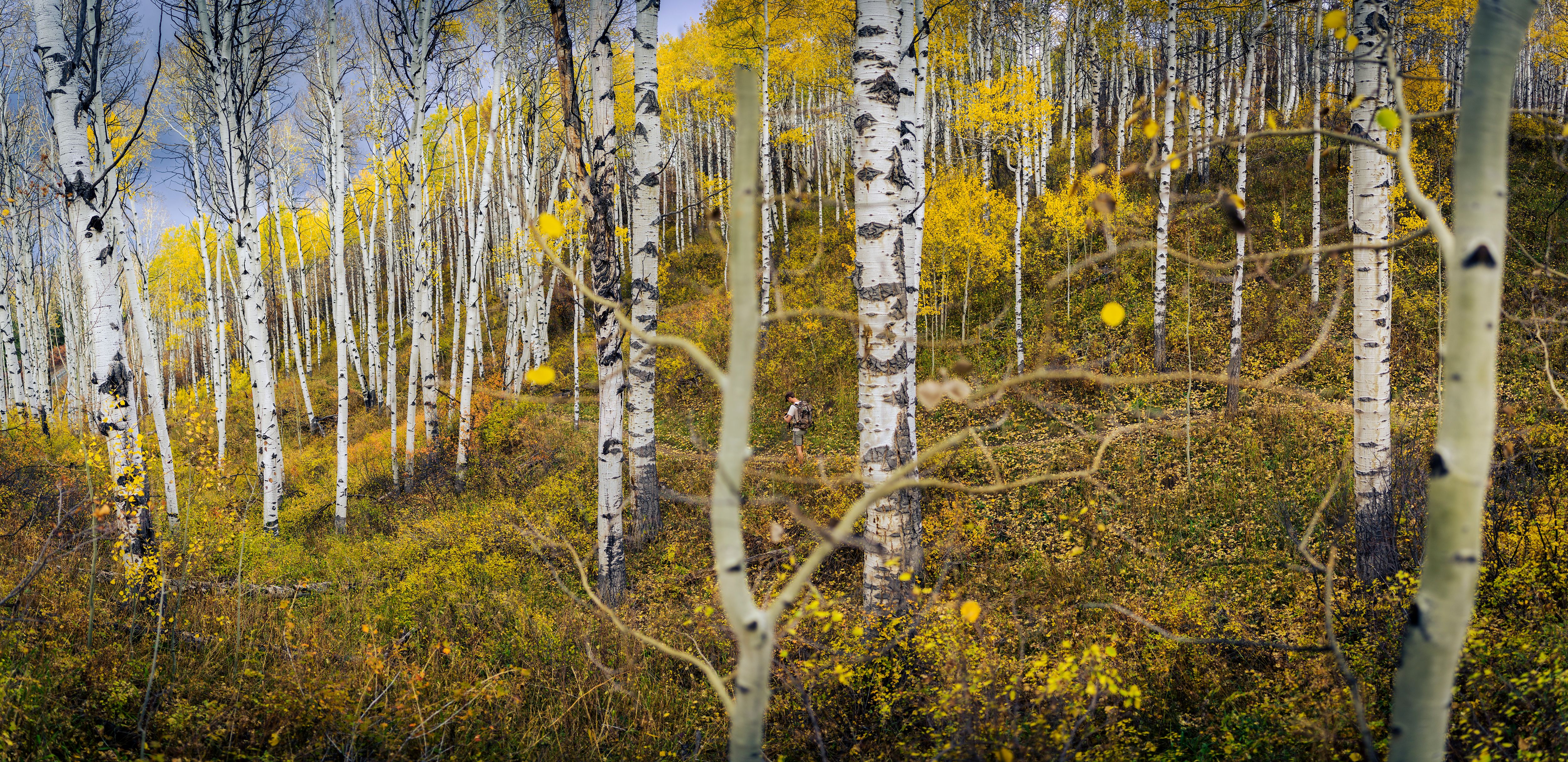 WF_B0021575-Pano_5k.jpg