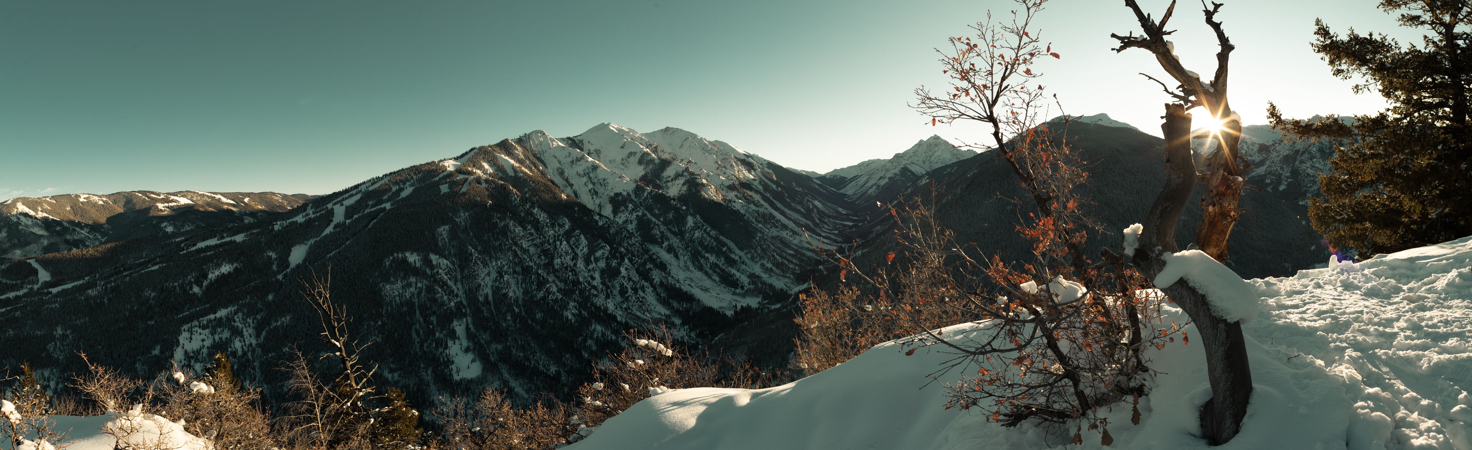 wf_11382-pano_5K.jpg