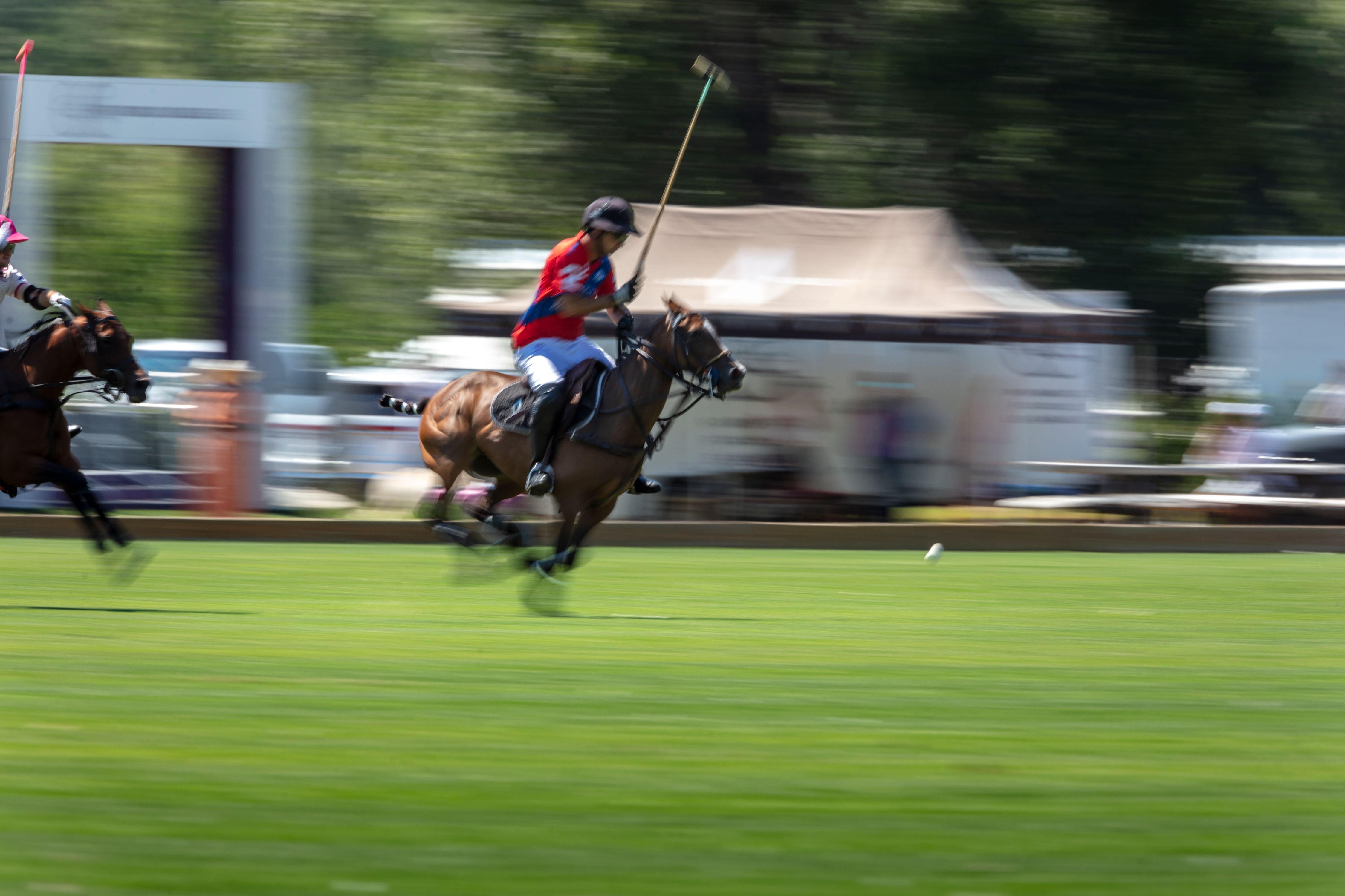 WF_f_11660polo.jpg