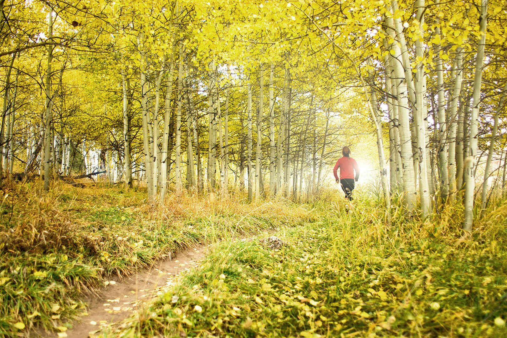 Hunter Creek Trail running. Evening.