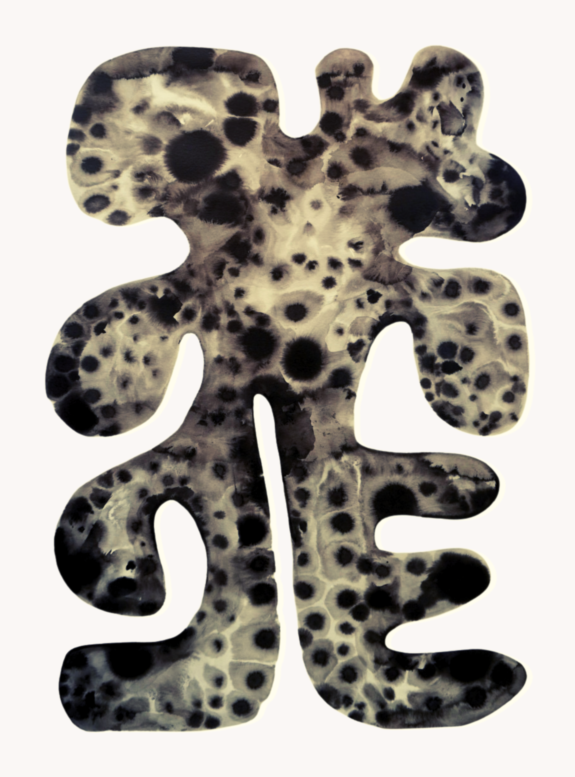 New York Pigeon Sound