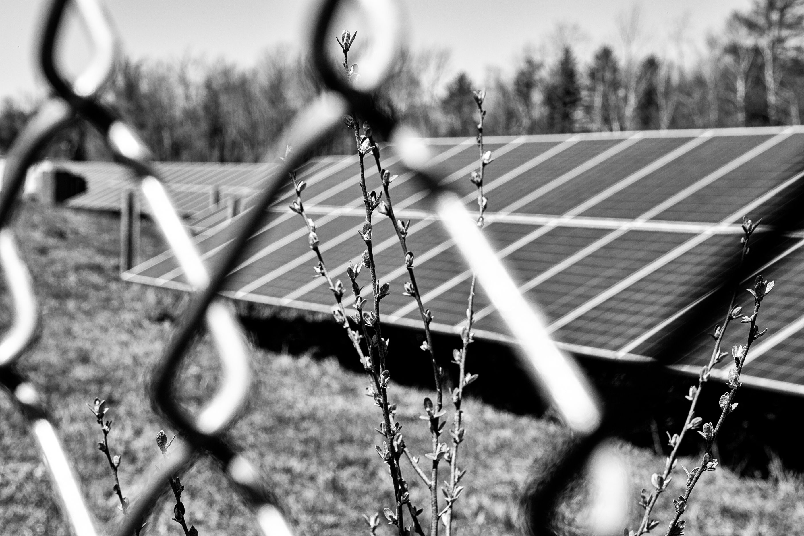 Littleton Solar Farm - 4-30-20 - 0526-Edit.jpg