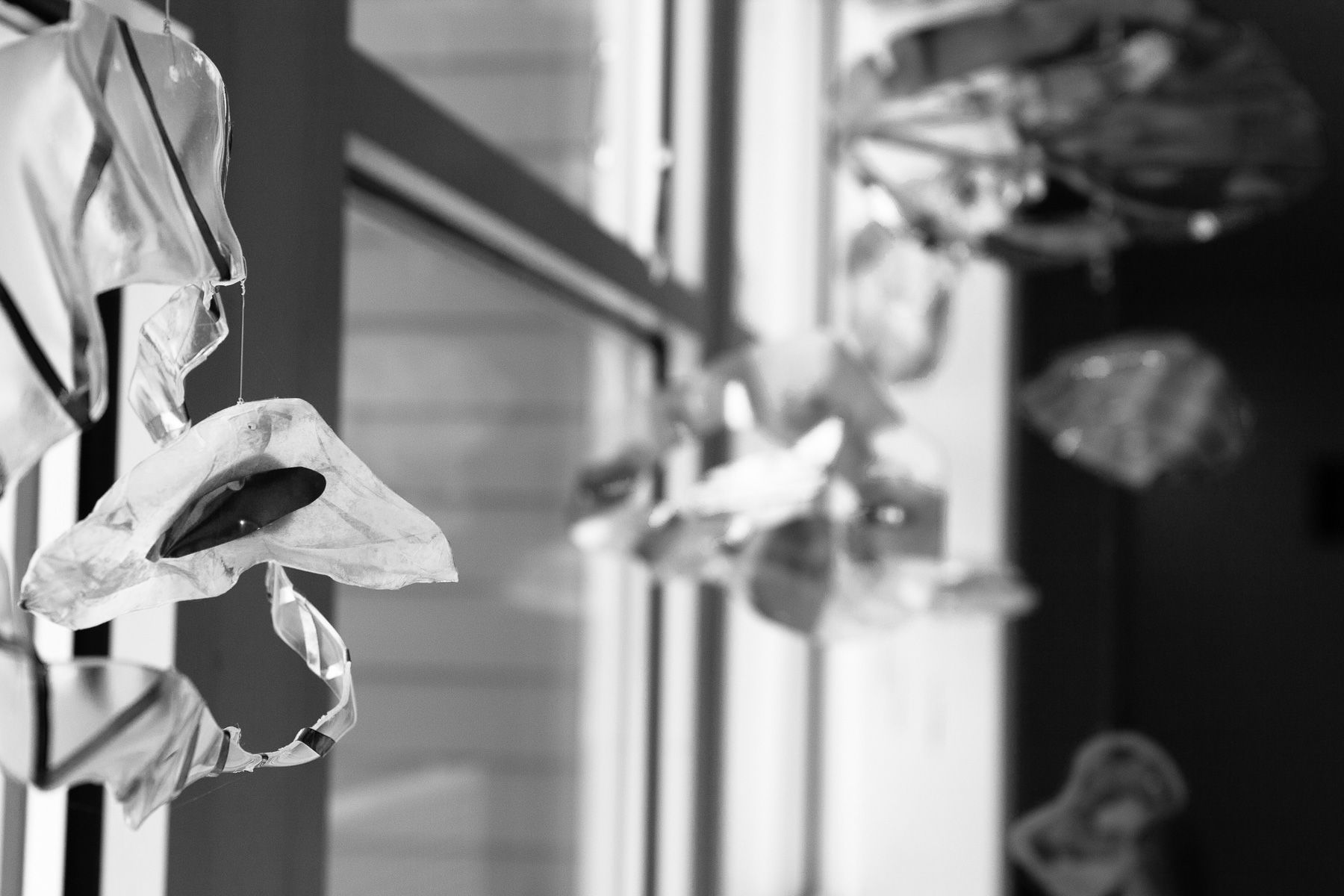 Parker 20th 4-20150416-8945.jpg