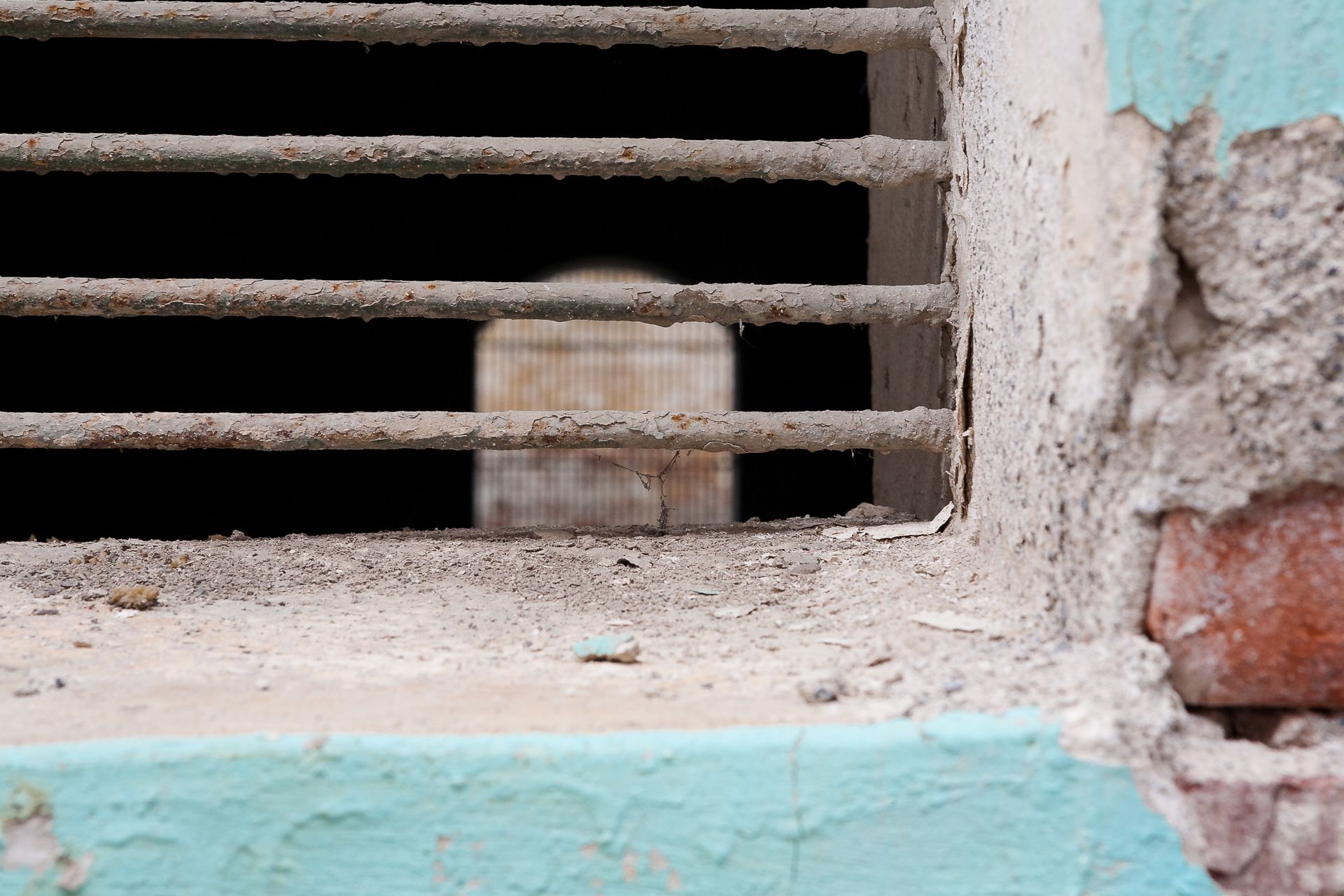 Haiti - WEB Livebooks- 3490-20110501.jpg