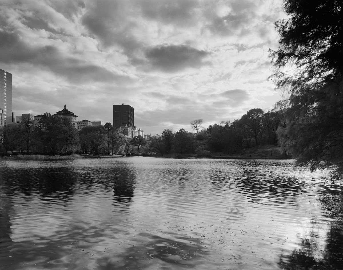 5982_0137_4945 1.jpg