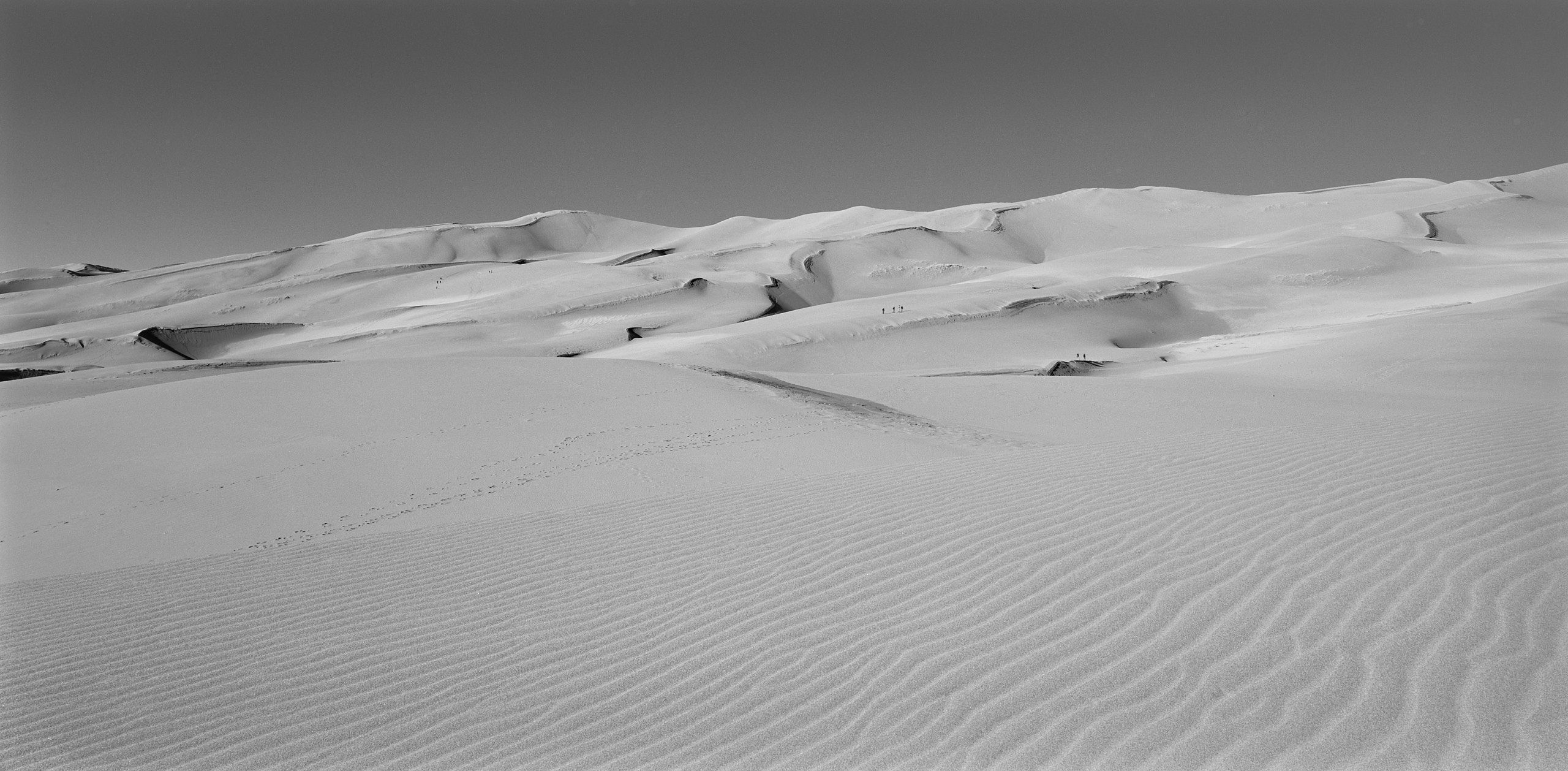 5971-0032_3638-1 1.jpg