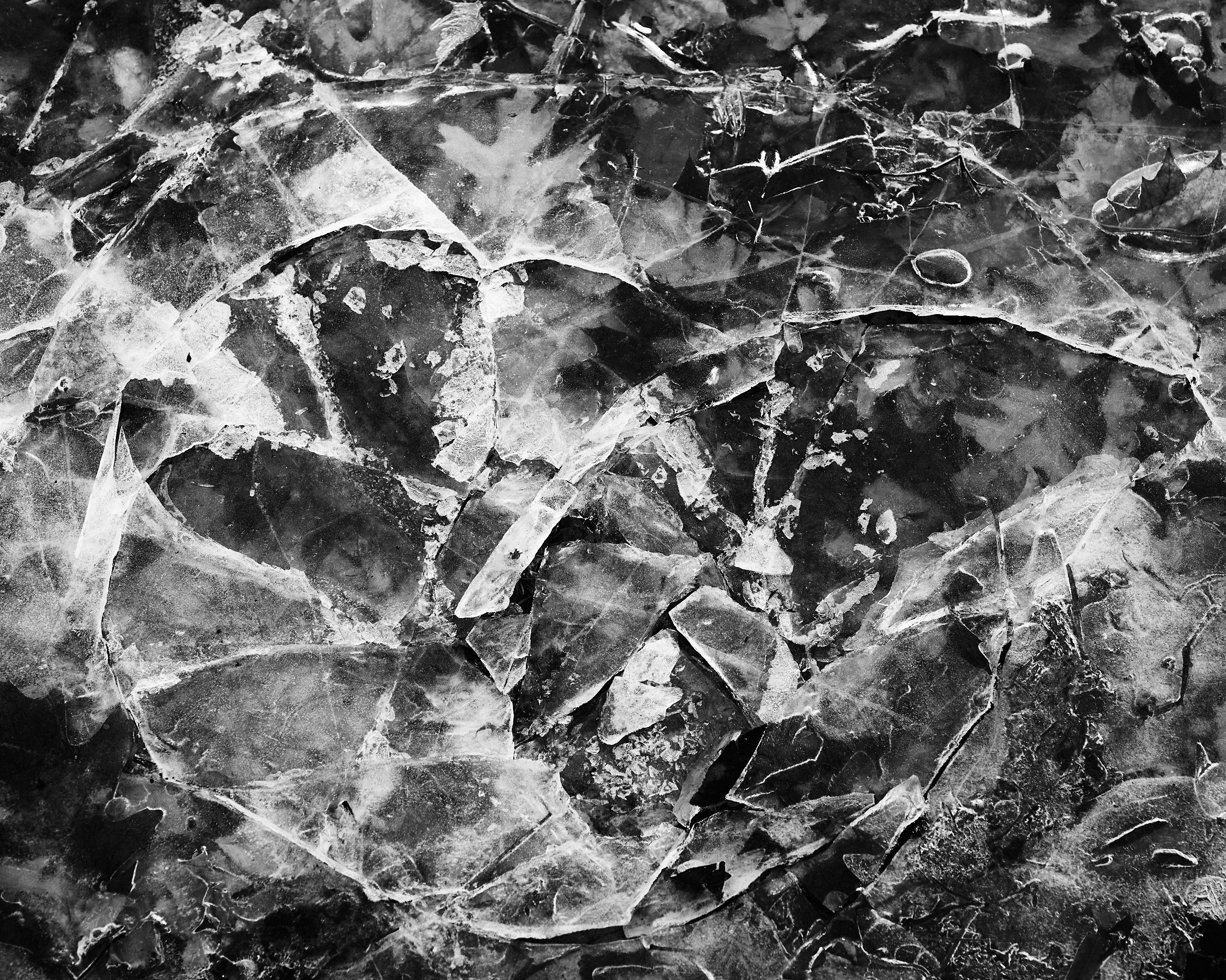 6060_0017.jpg