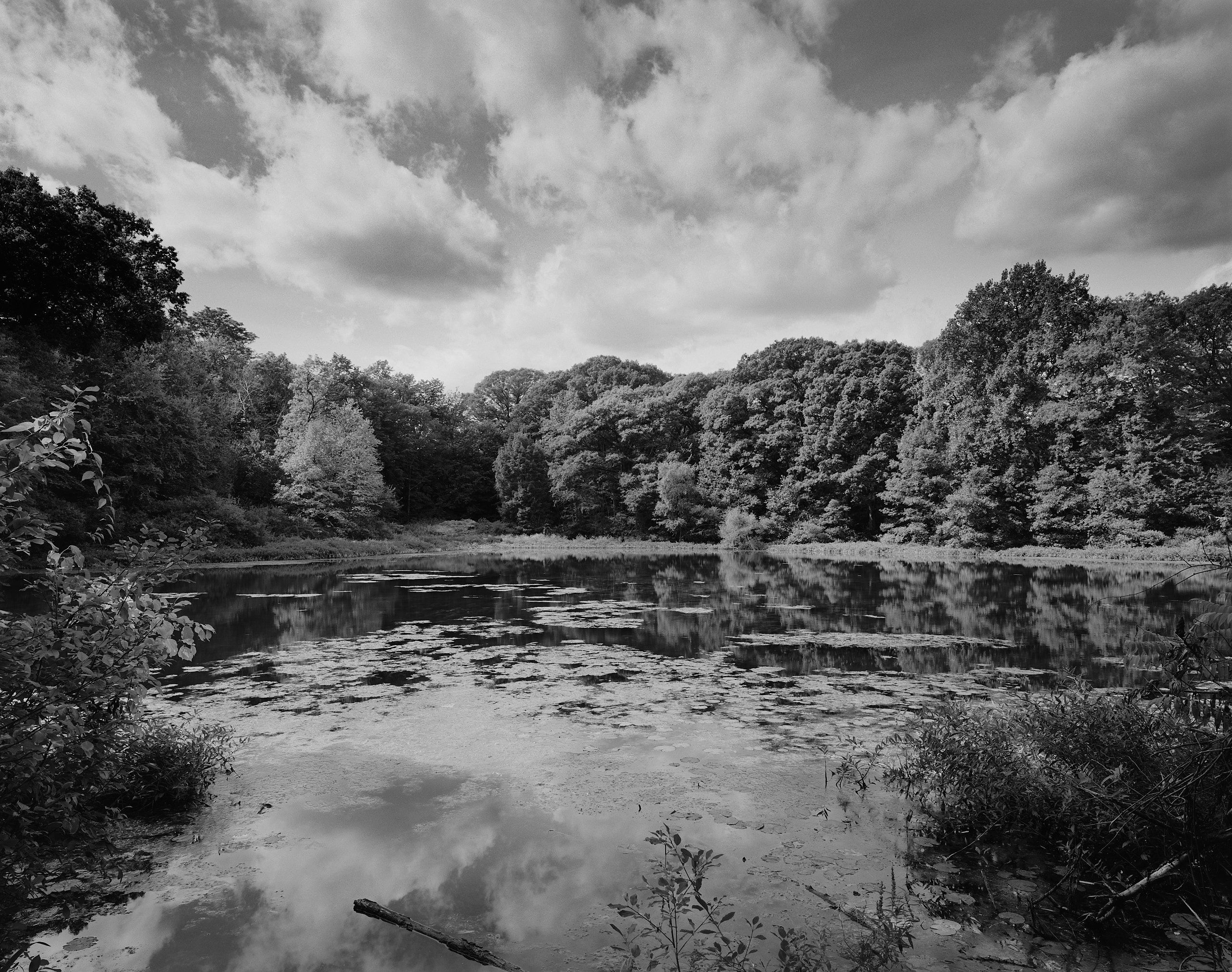 5982_0047_4880 1.jpg