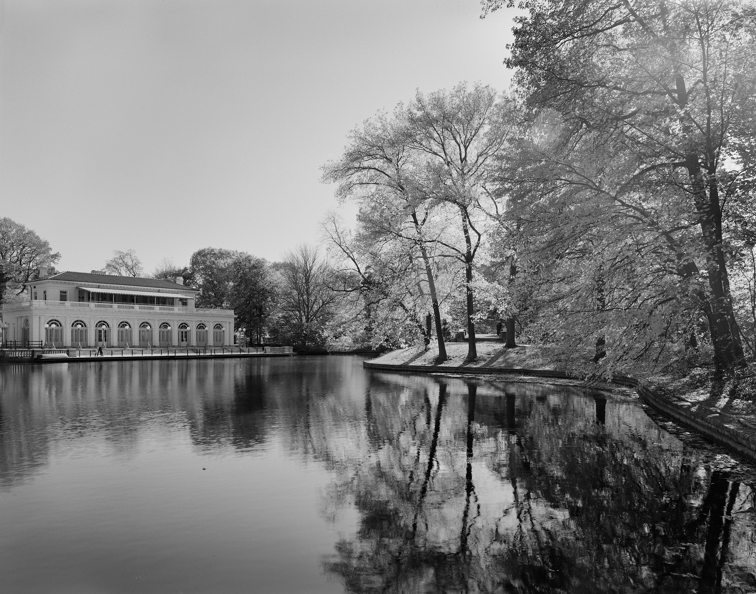 5982_0108_4932 1.jpg