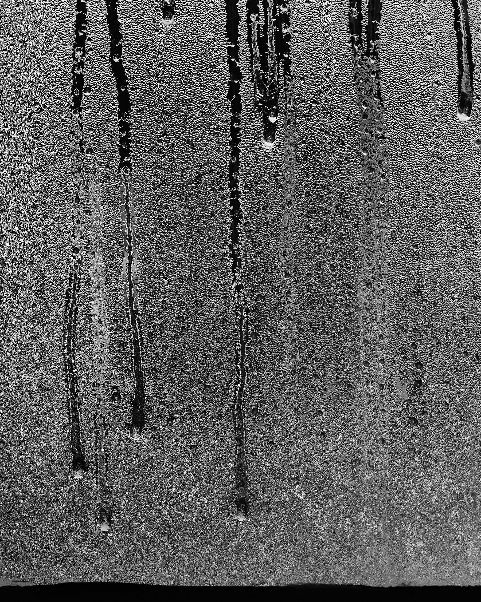 6060_0005 1.jpg