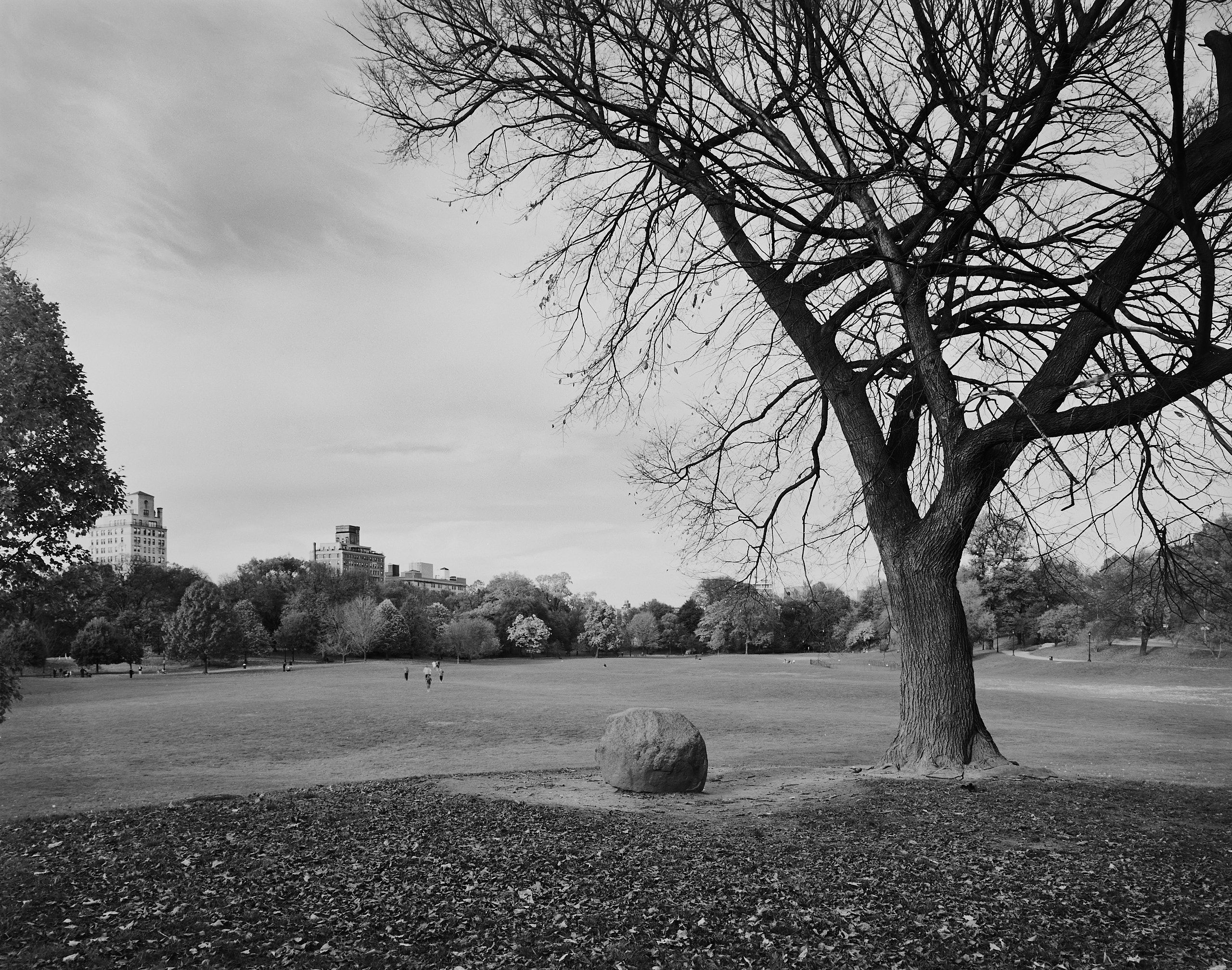 5982_0132_4944 2.jpg