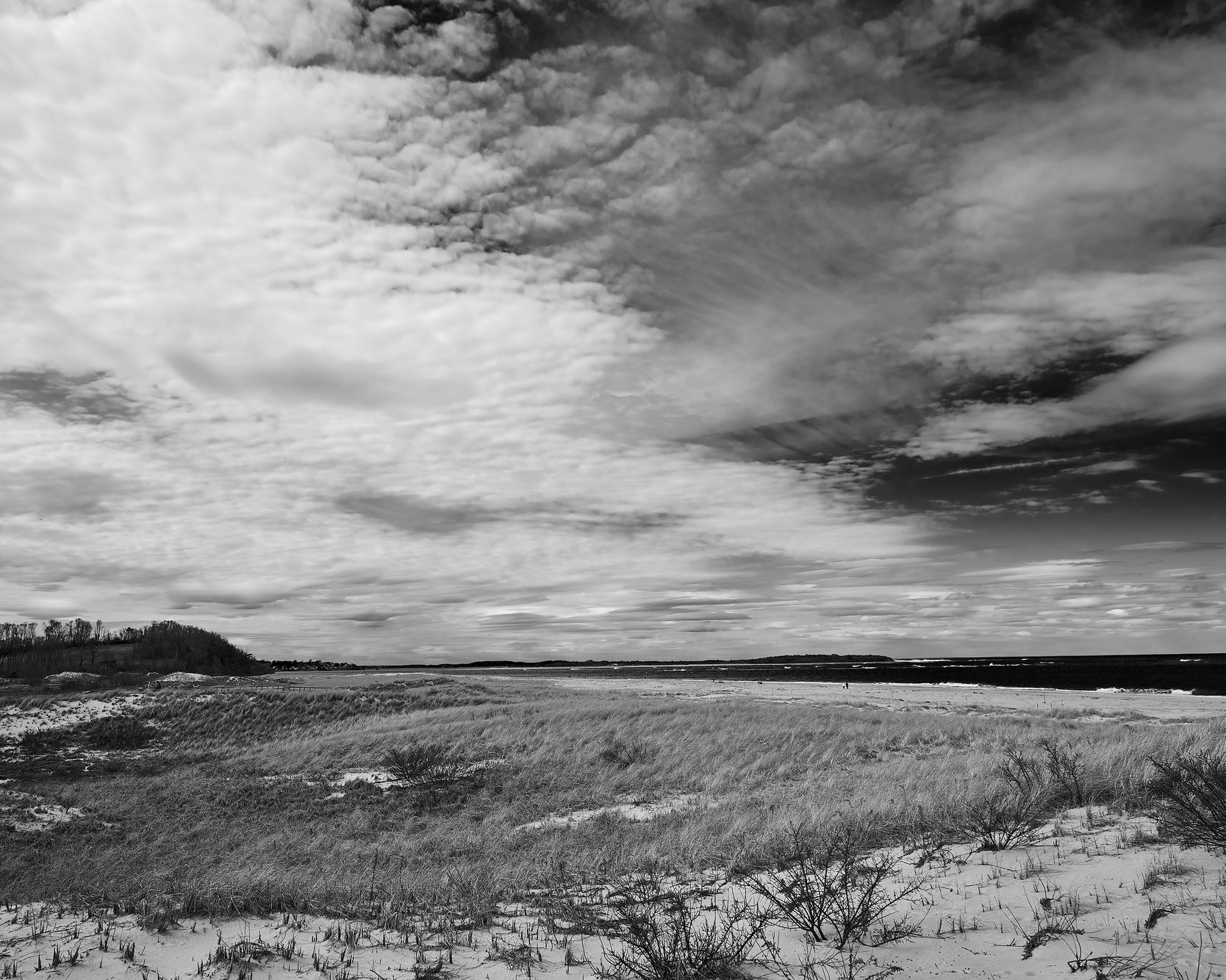 Recent Landscapes