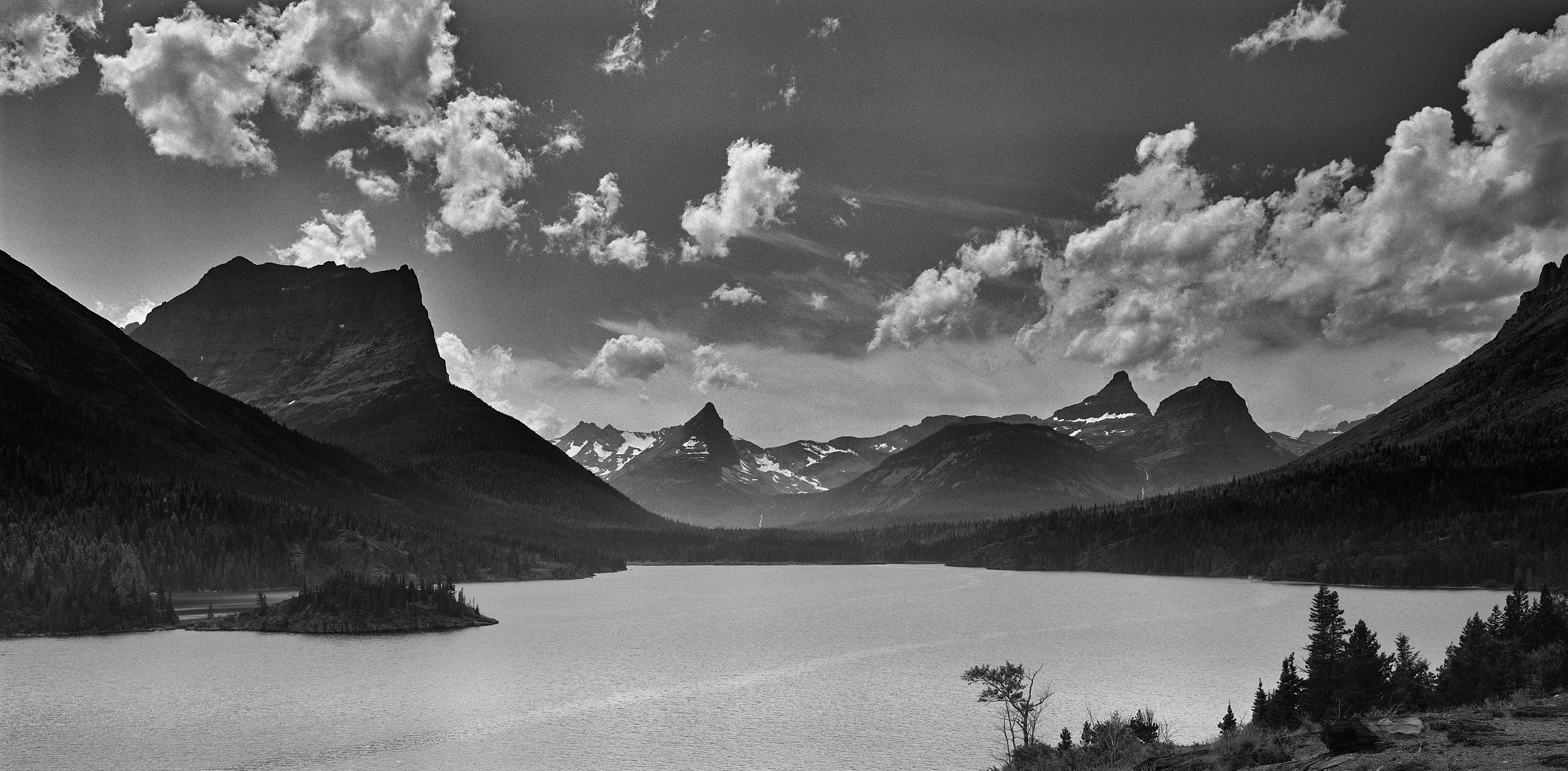 60090034_4842-3 1.jpg