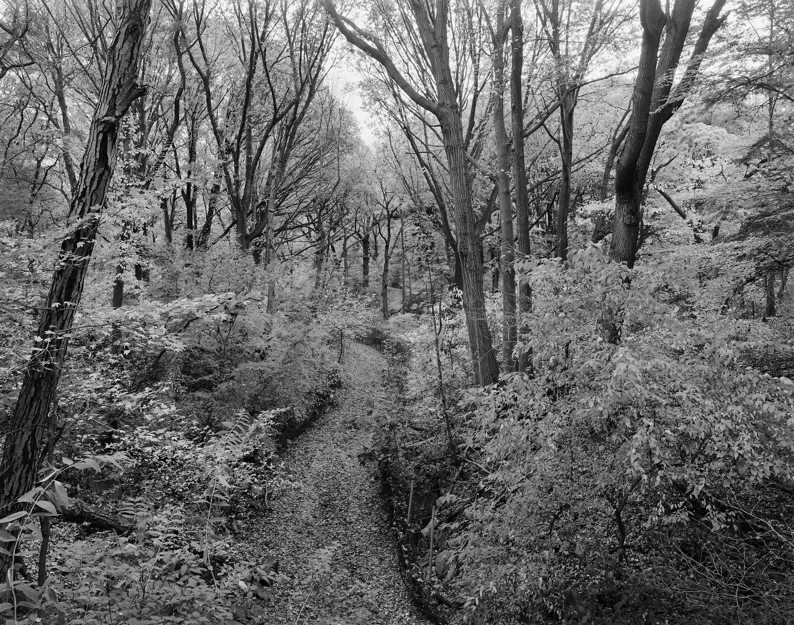 5982_0101_4928 1.jpg