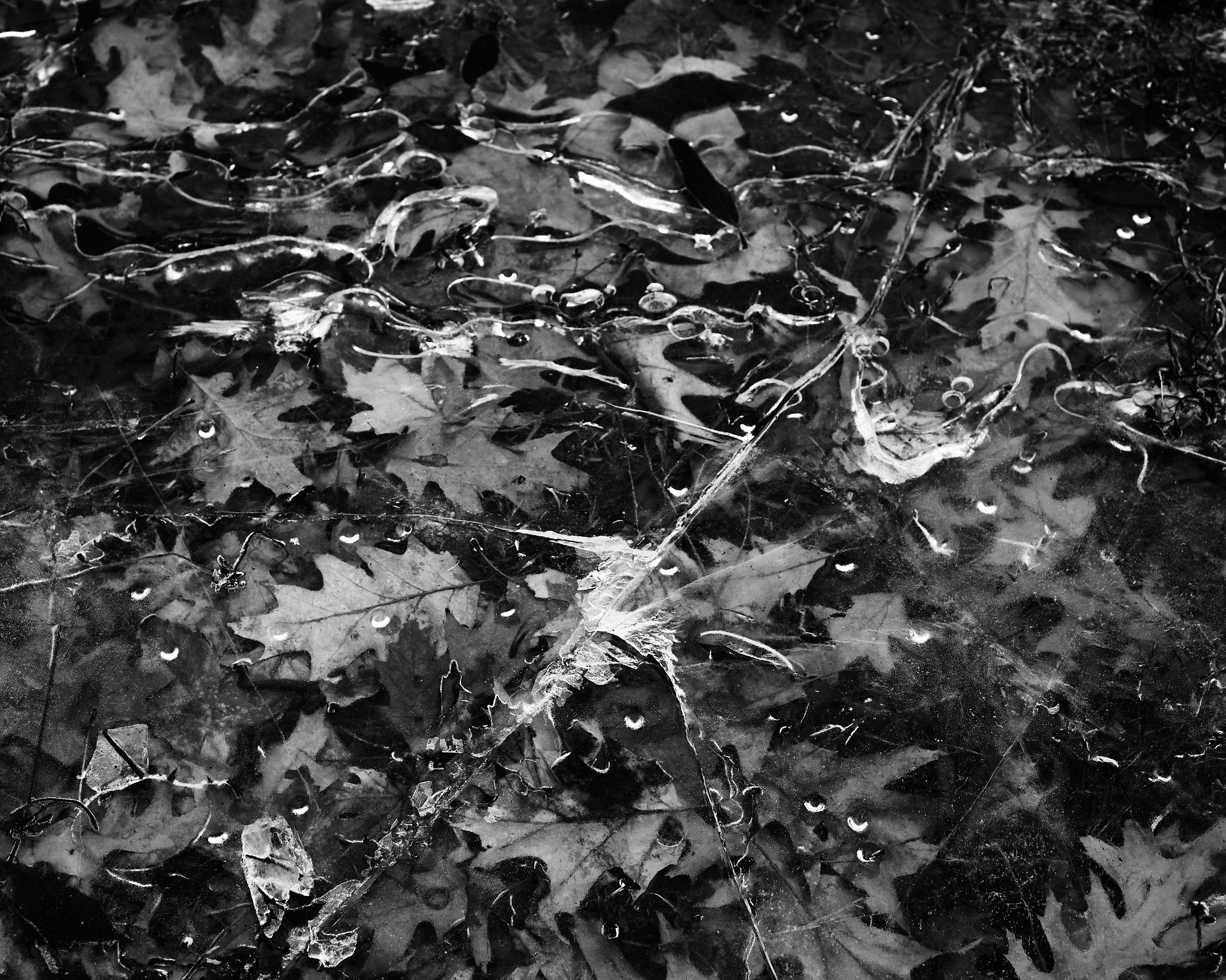 6060_0018.jpg