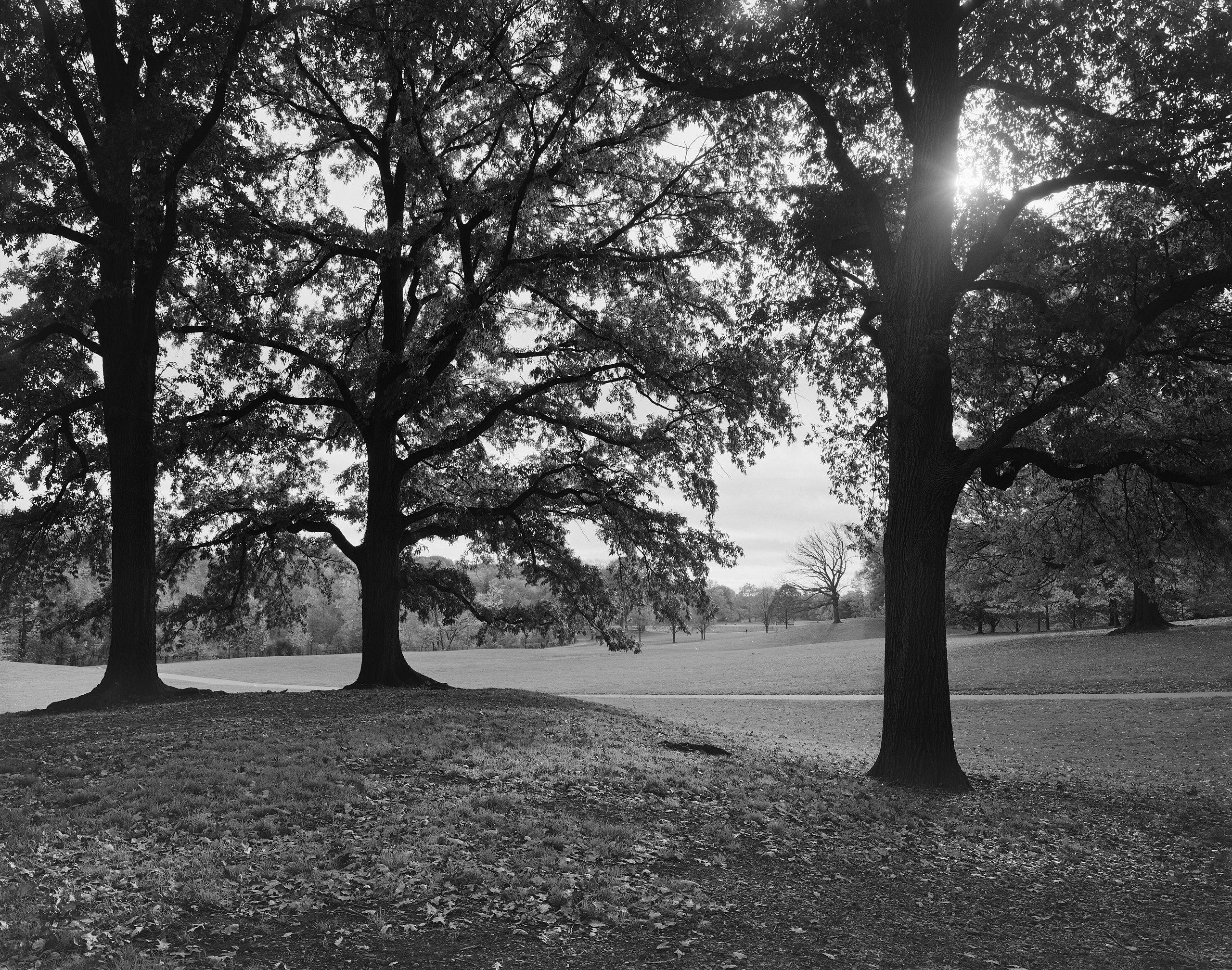 5982_0126_4942 1.jpg