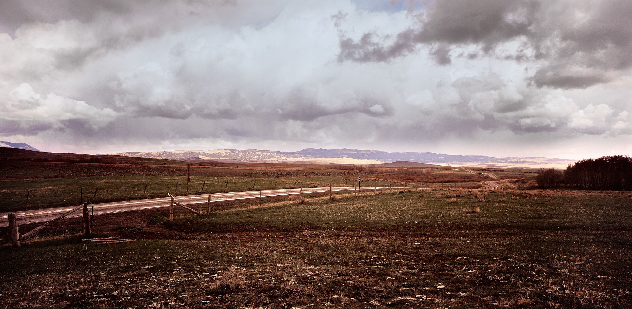 59260192_3562-1 2.jpg