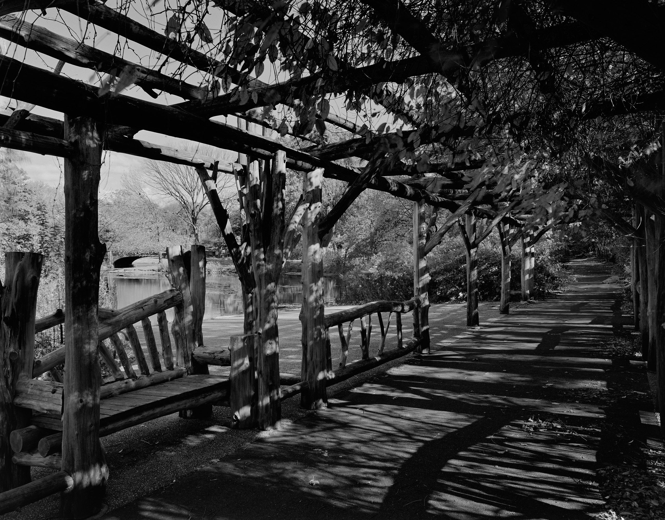 5982_0104_4930 1.jpg