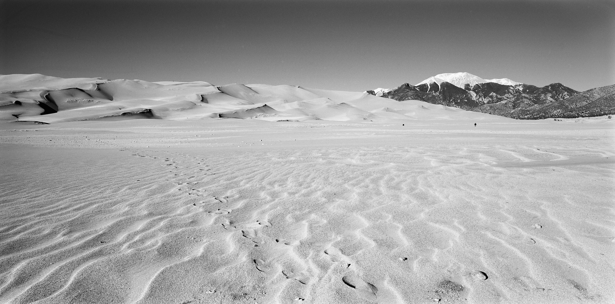 5971-0067_3641-2.jpg