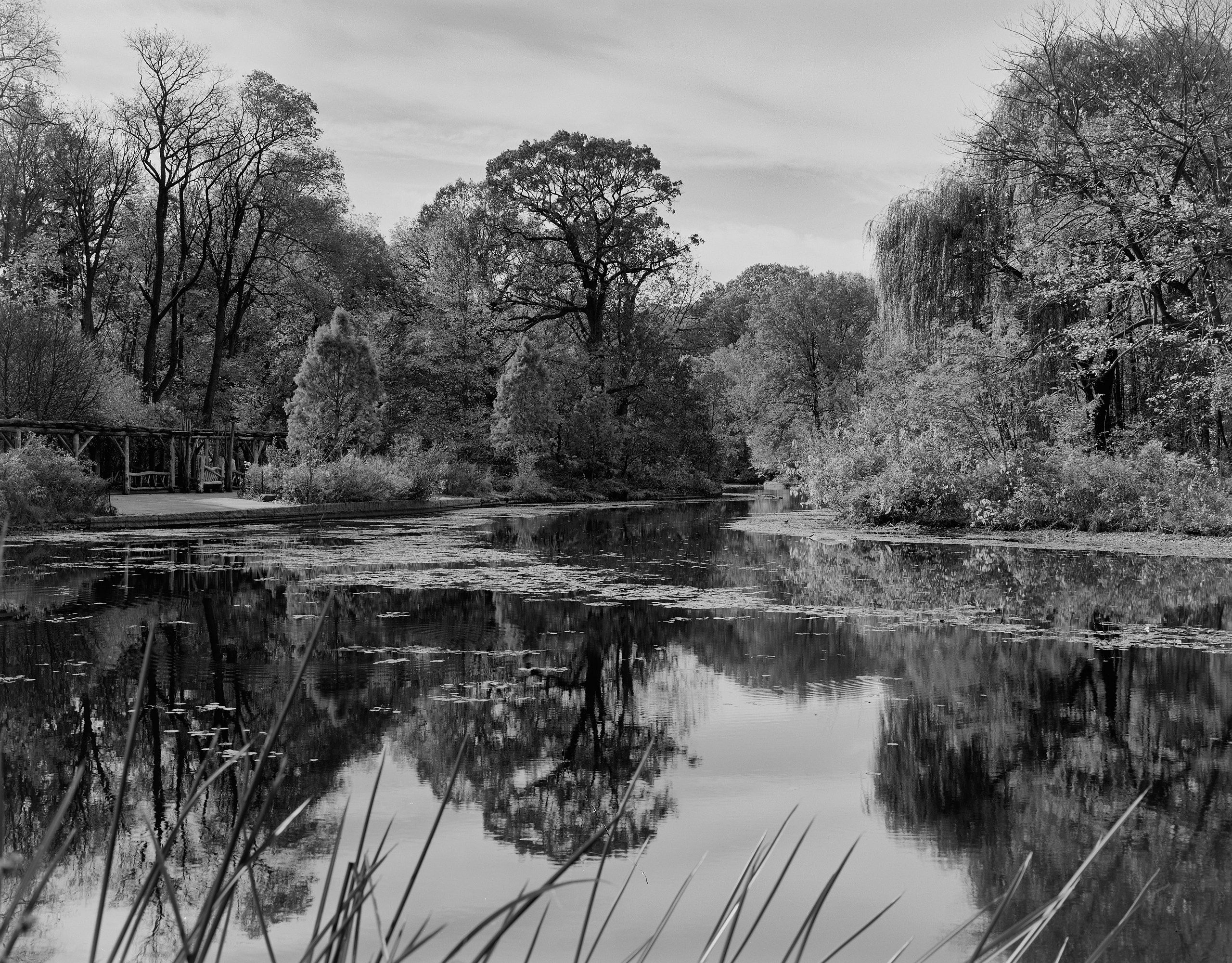 5982_0103_4929 1.jpg